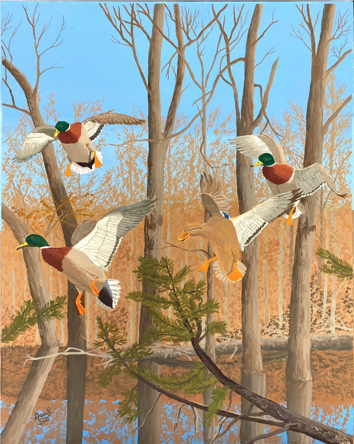 Mallards