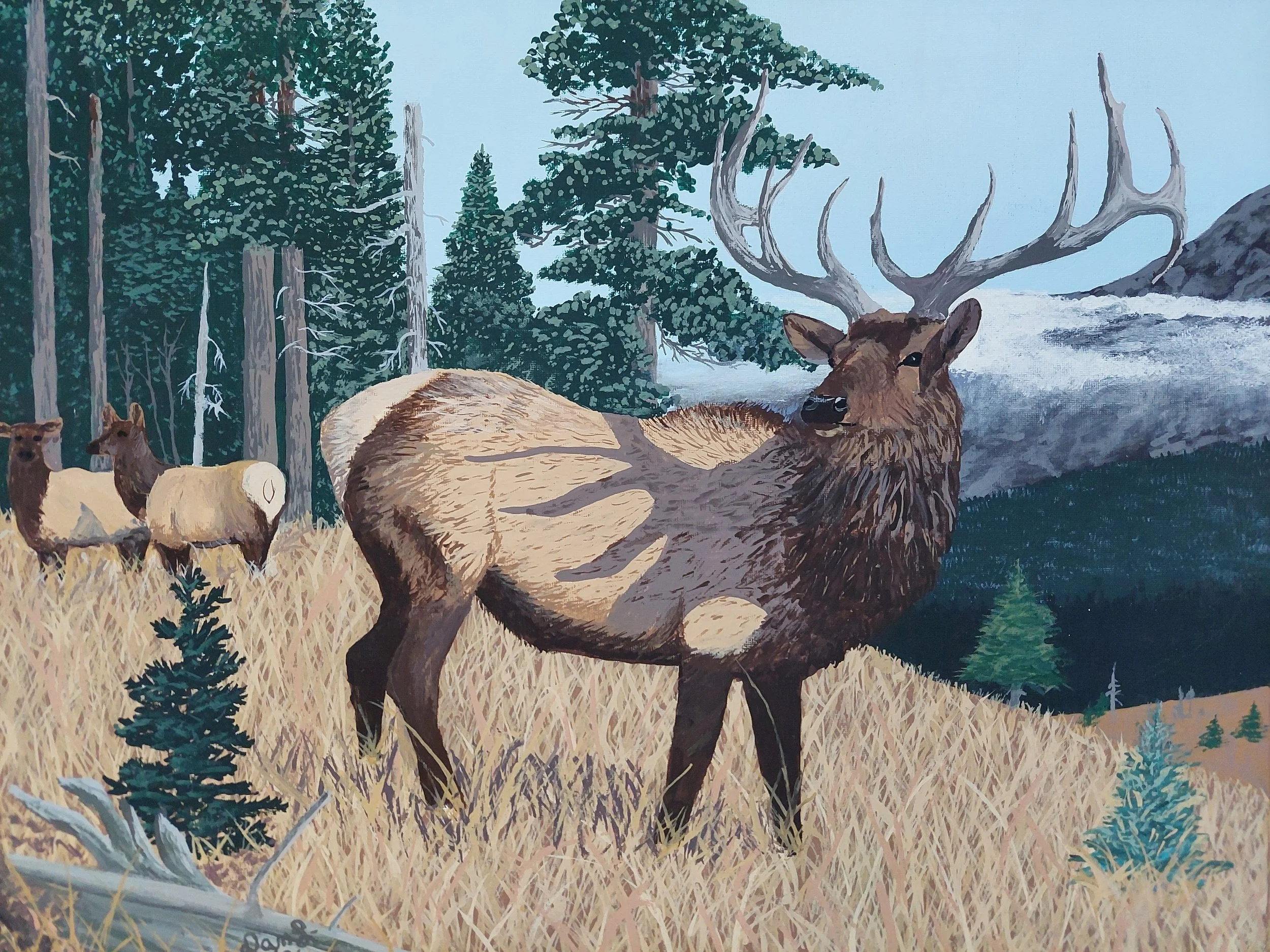 "Rise and Shine" by Dan Lindenberg