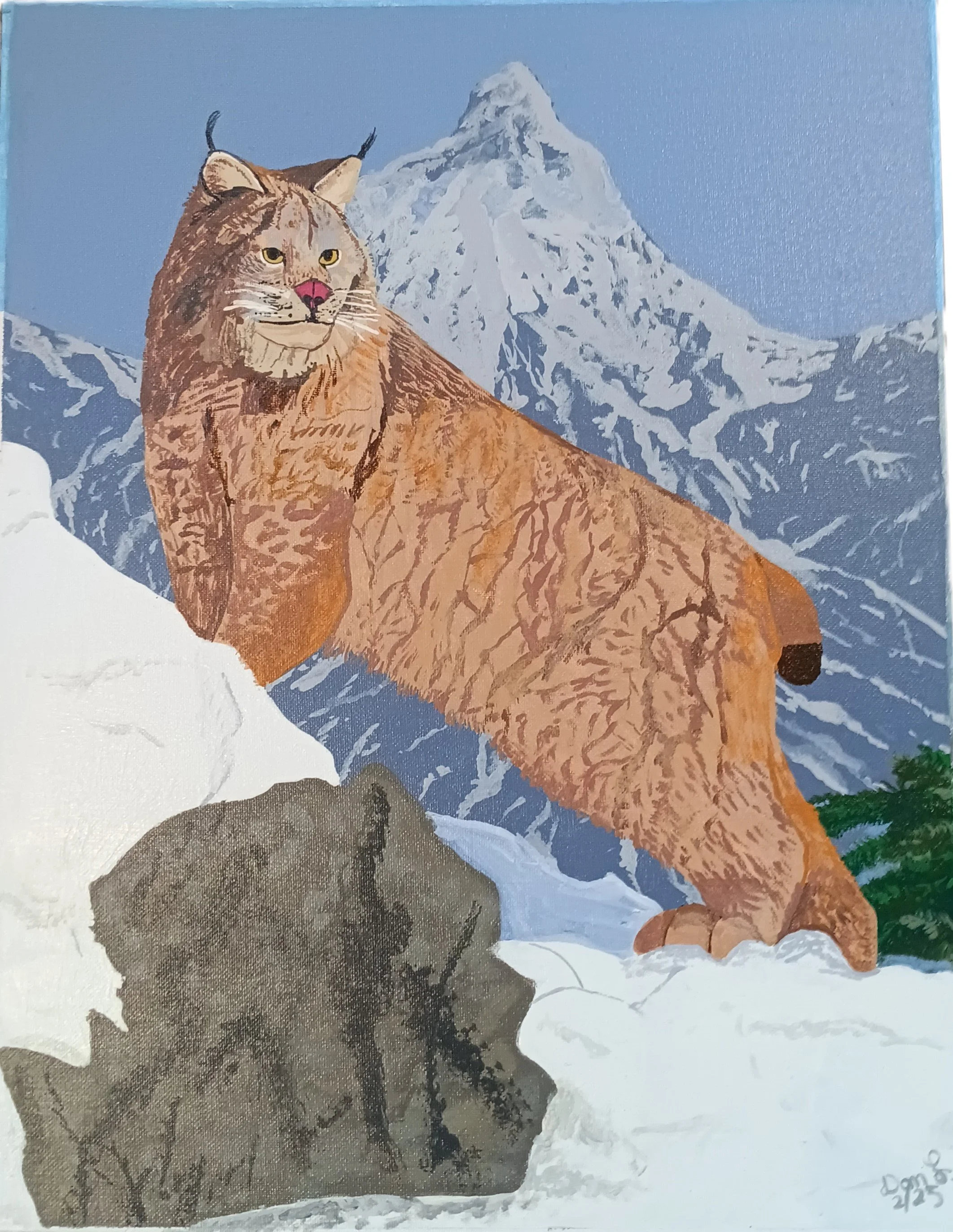 "Lynx on the Lookout" by Dan Lindenberg