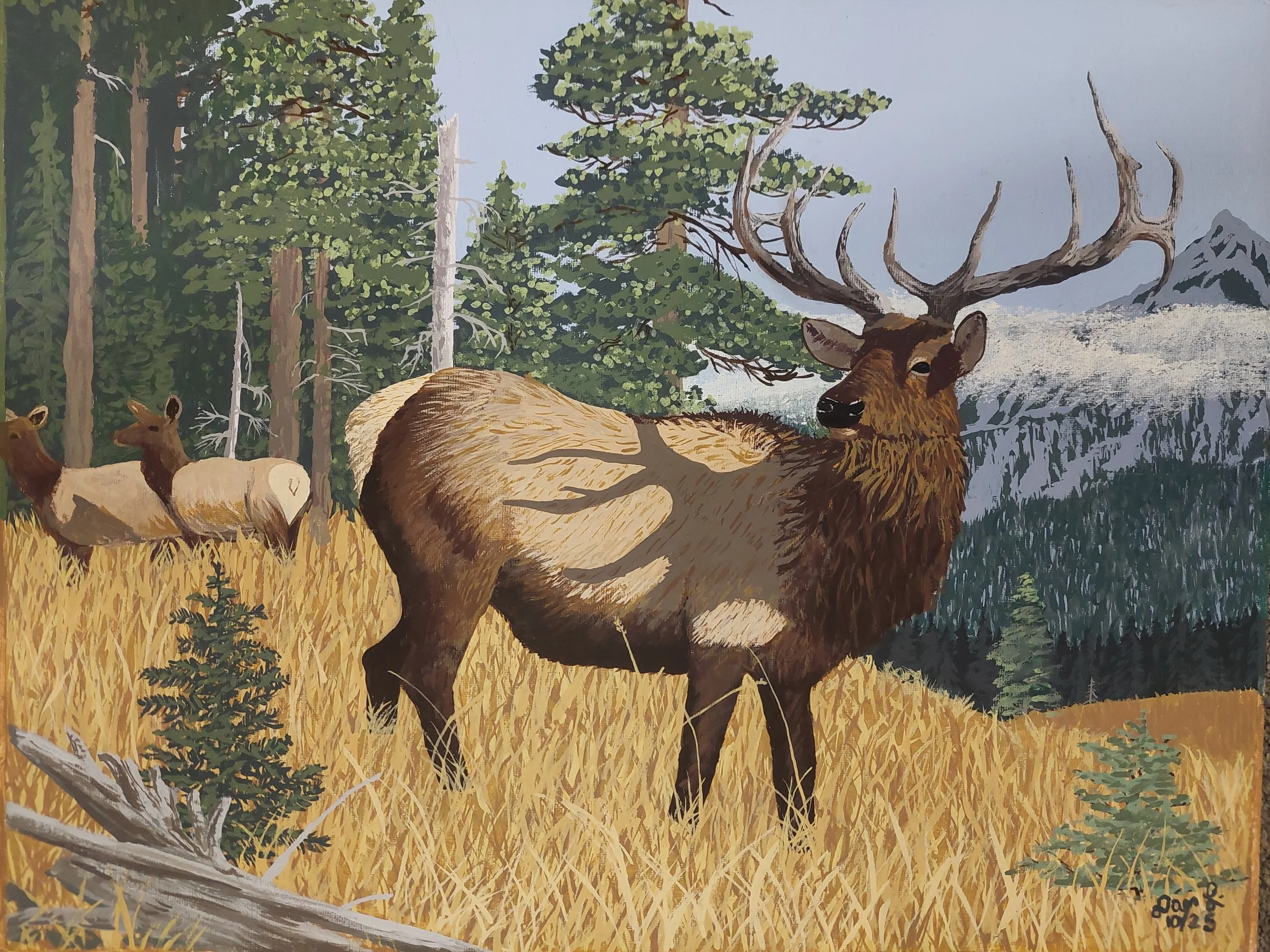 "Elk in the Hills" by Dan Lindenberg