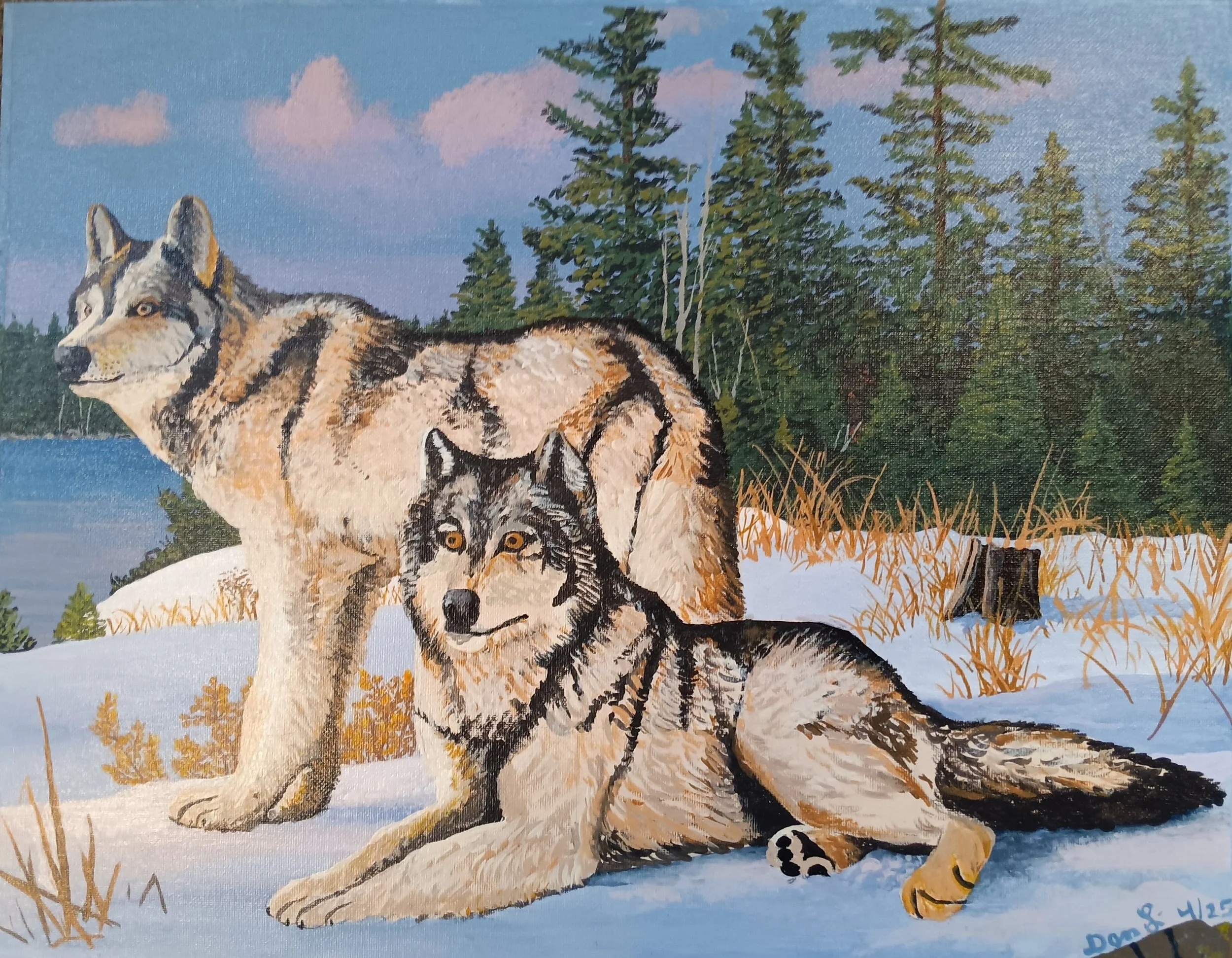 217_Dan Lidenberg_Winter Wolves in the Wild.jpg