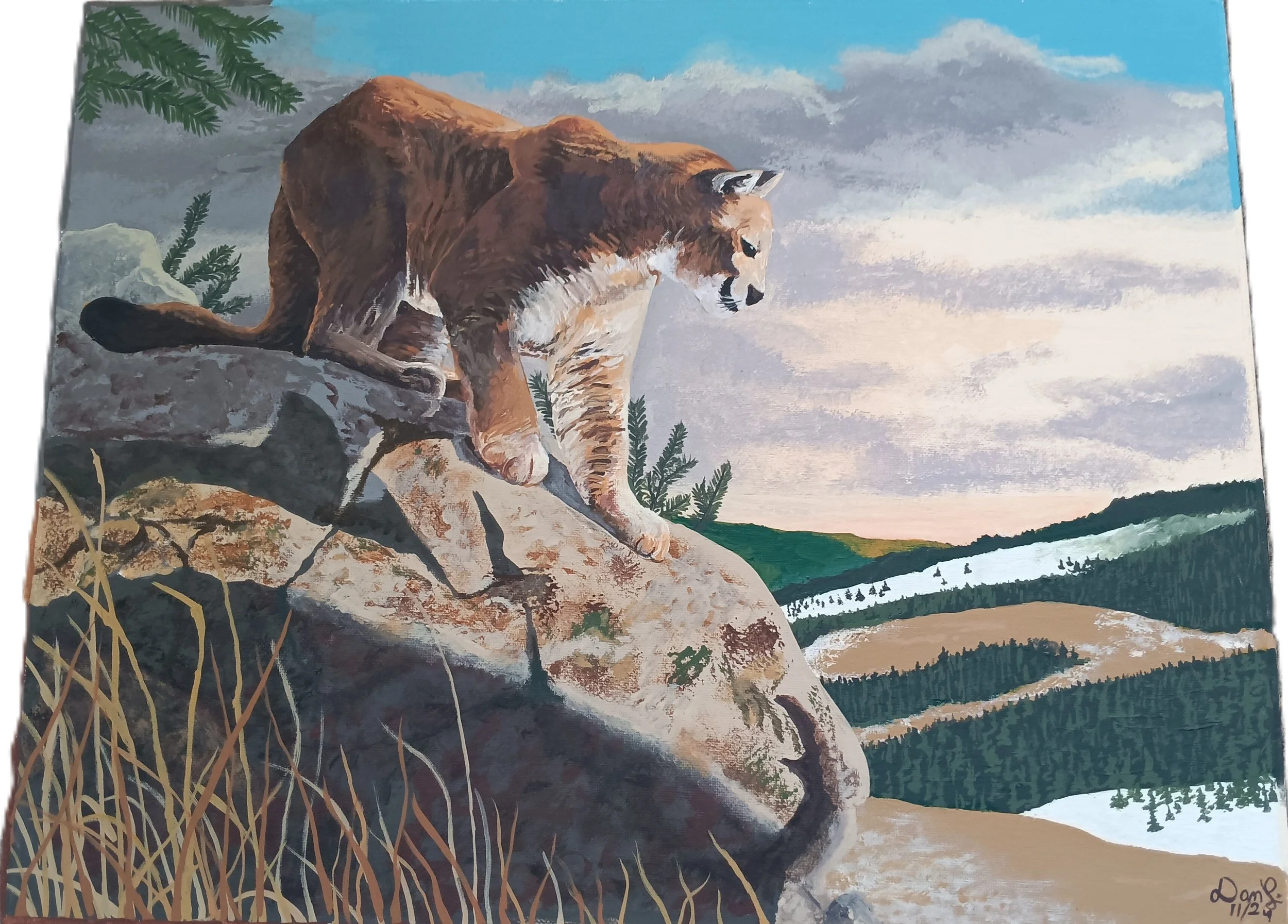 "Majestic Mountain Lion" by Dan Lindenberg