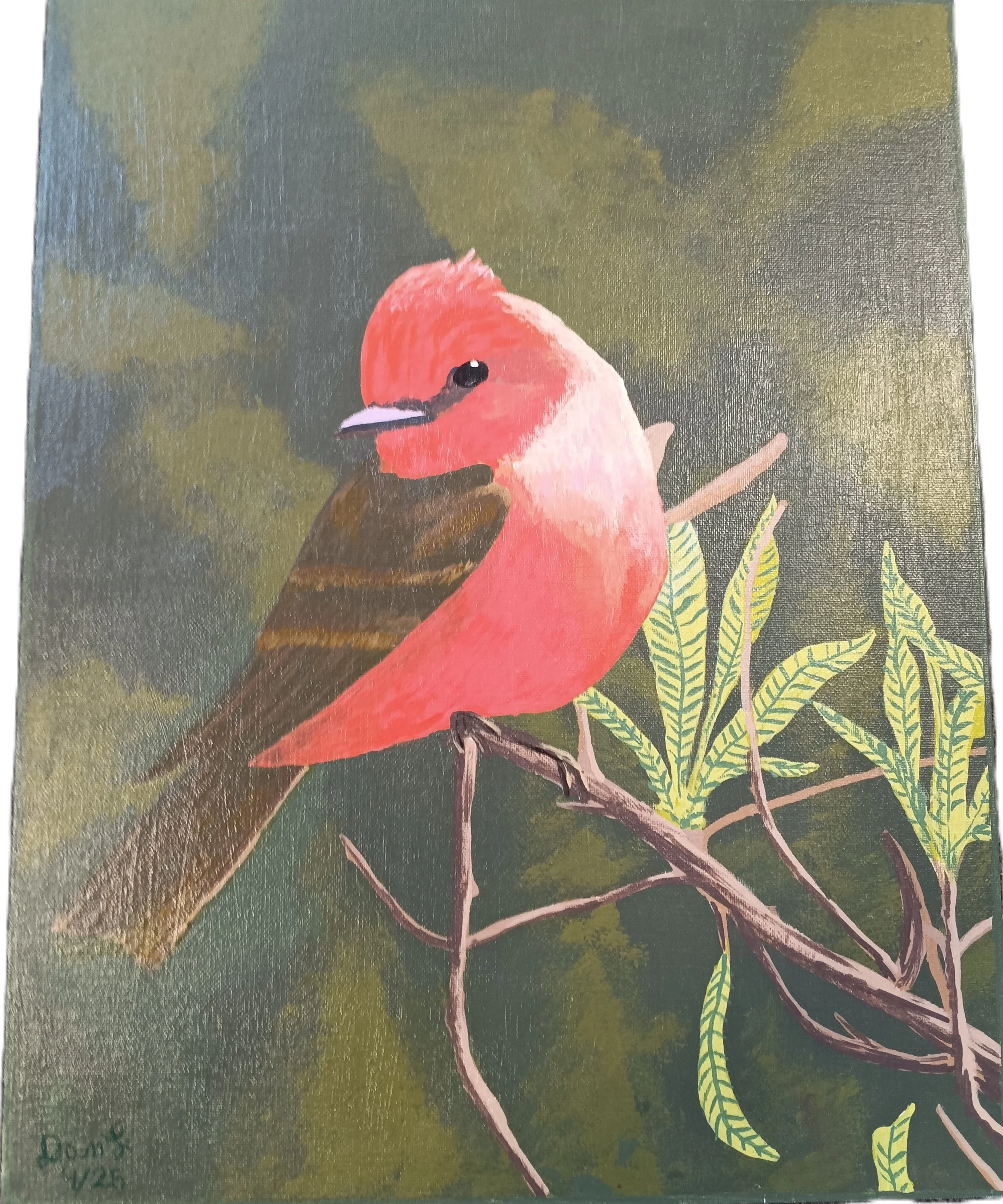 "Vigilent Vermillion Flycatcher" by Dan Lindenberg