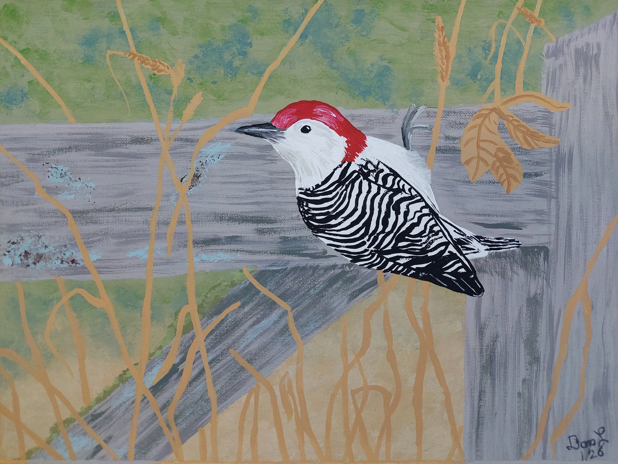 "On the Fence" by Dan Lindenberg