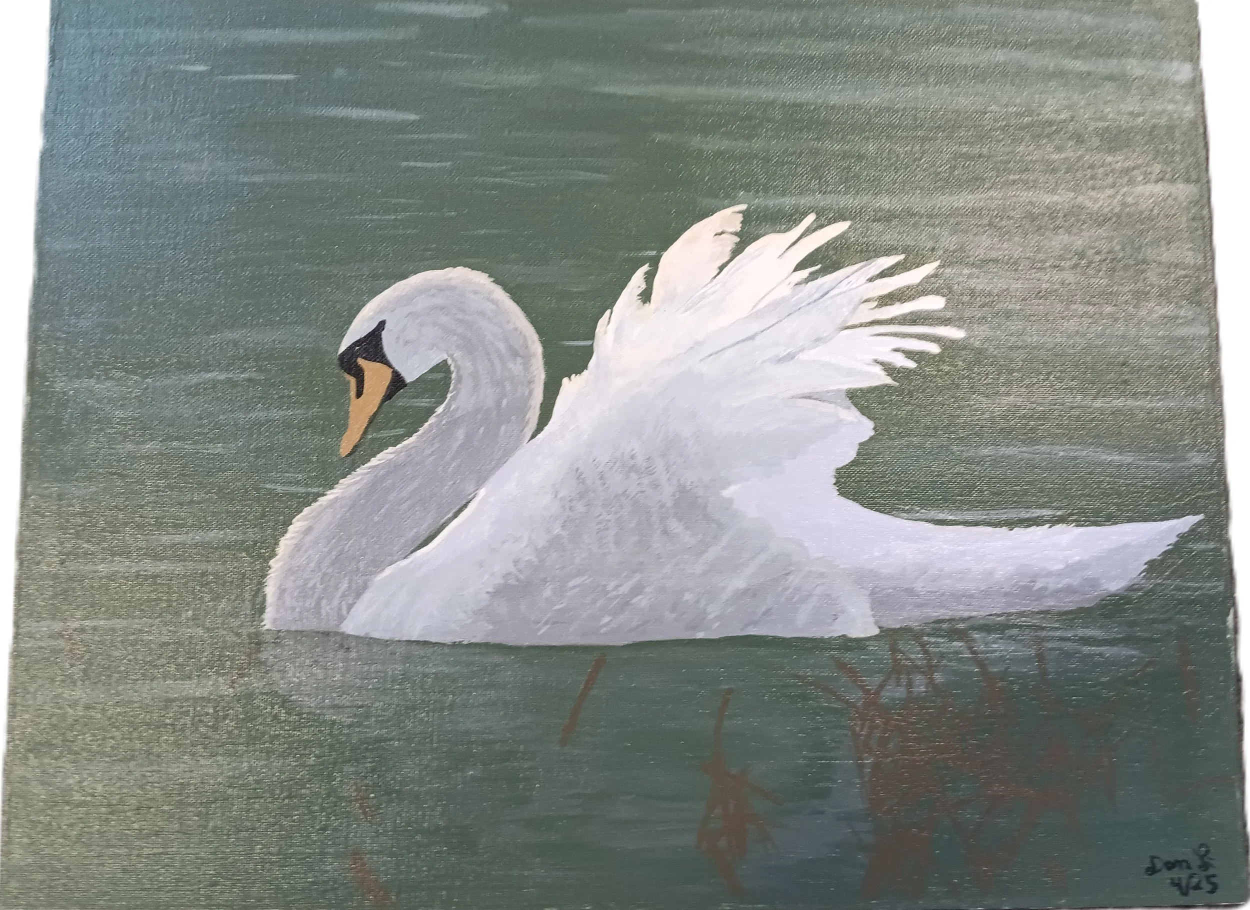 "Sensational Swimming Swan" by Dan Lindenberg