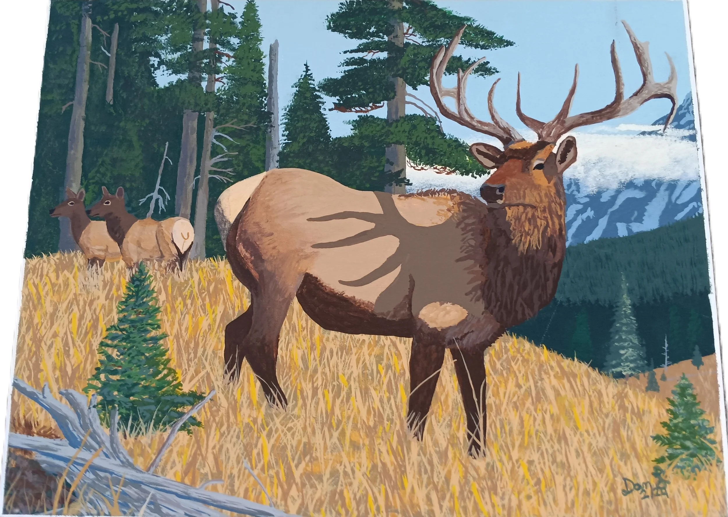 "At Home in the Rockies" by Dan Lindenberg