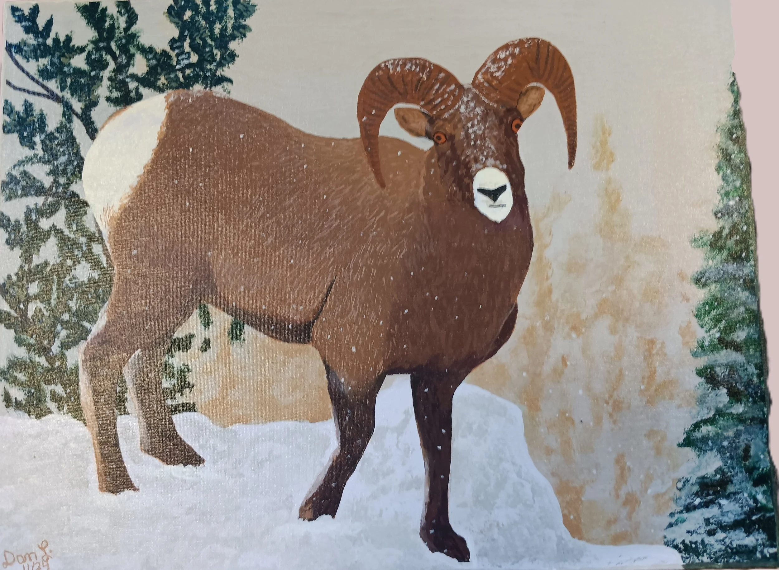 "Big Horn Sheep" by Dan Lindenberg