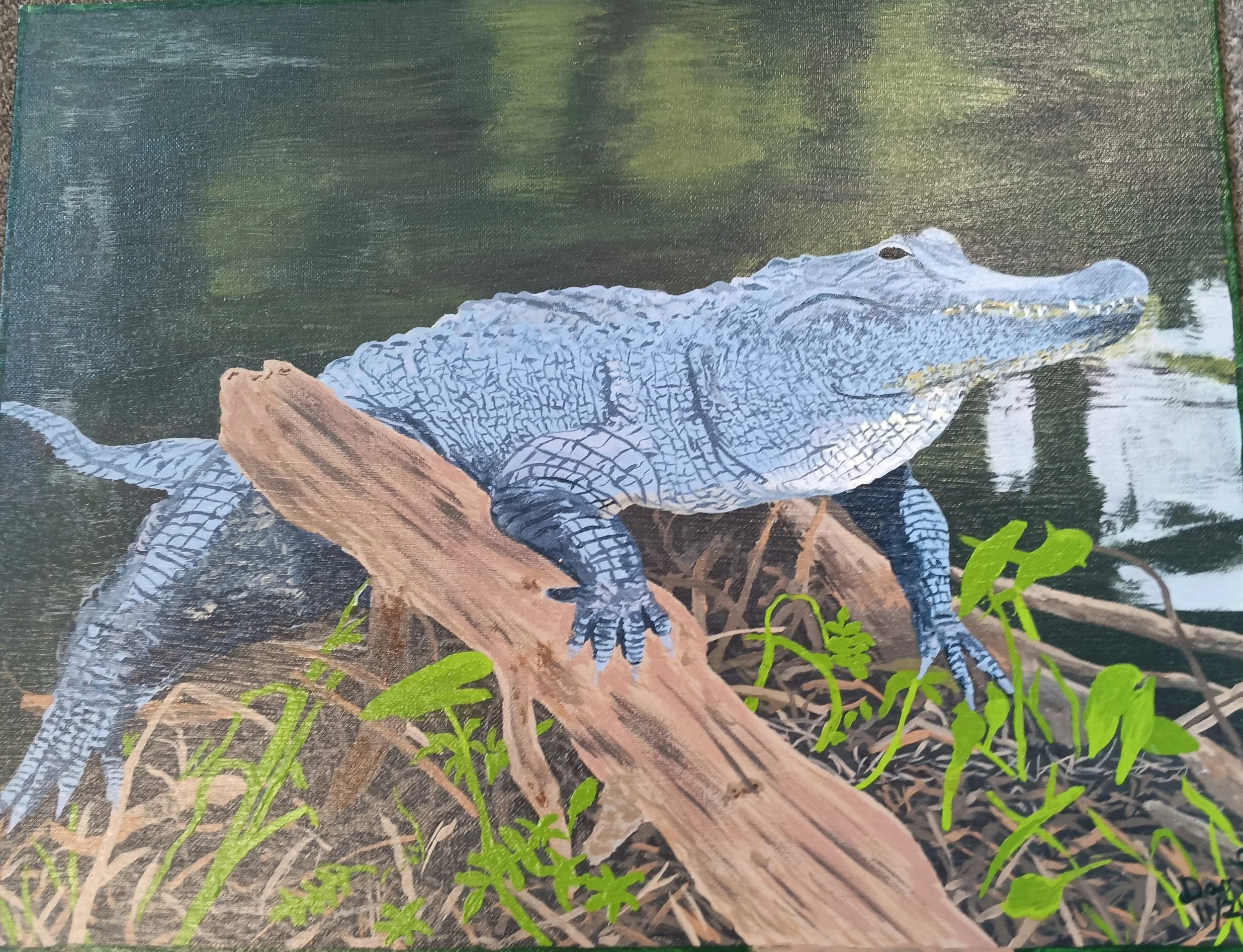 "Almighty Alligator" by Dan Lindenberg