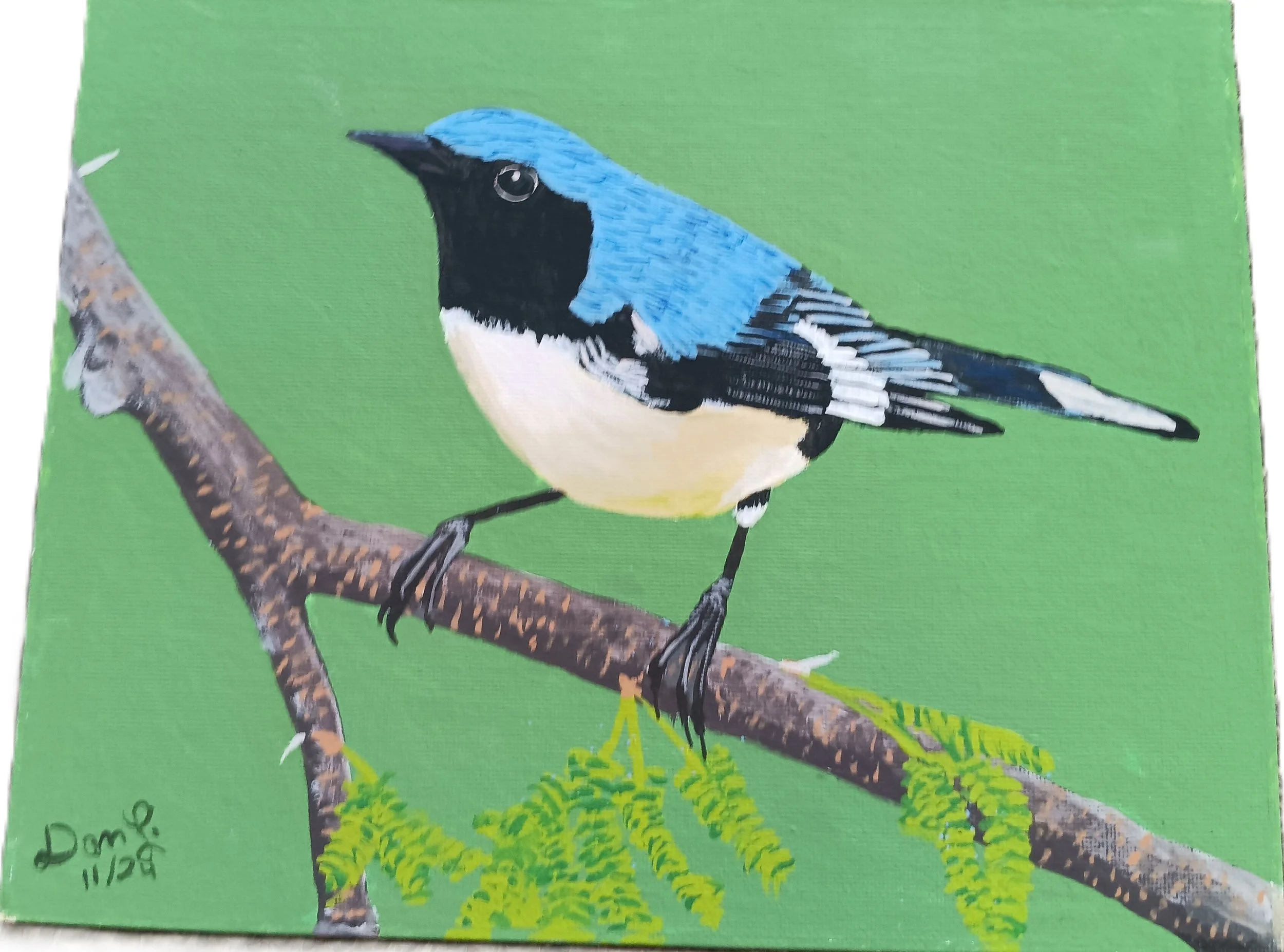 "Black-Throated Blue Warbler" by Dan Lindenberg