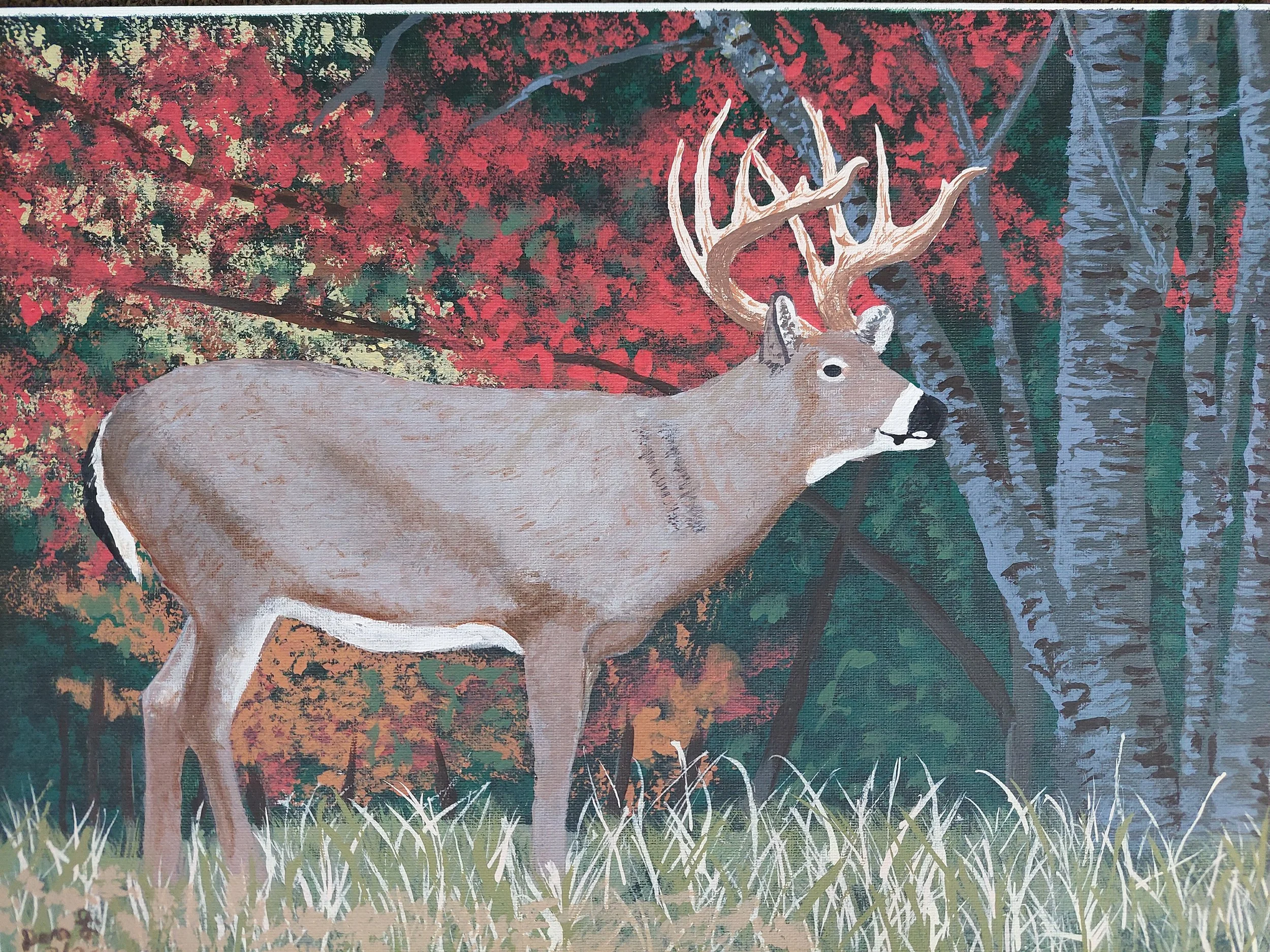 1680_Dan Lindenberg_Fall Majesty.jpg