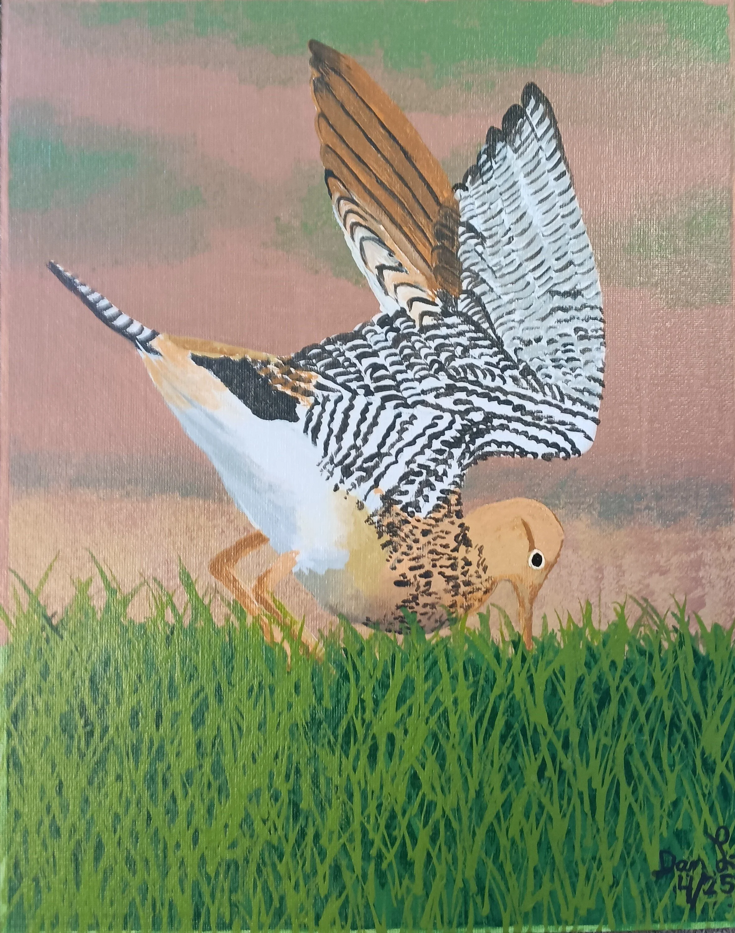 "Upended Upland Sandpiper" by Dan Lindenberg
