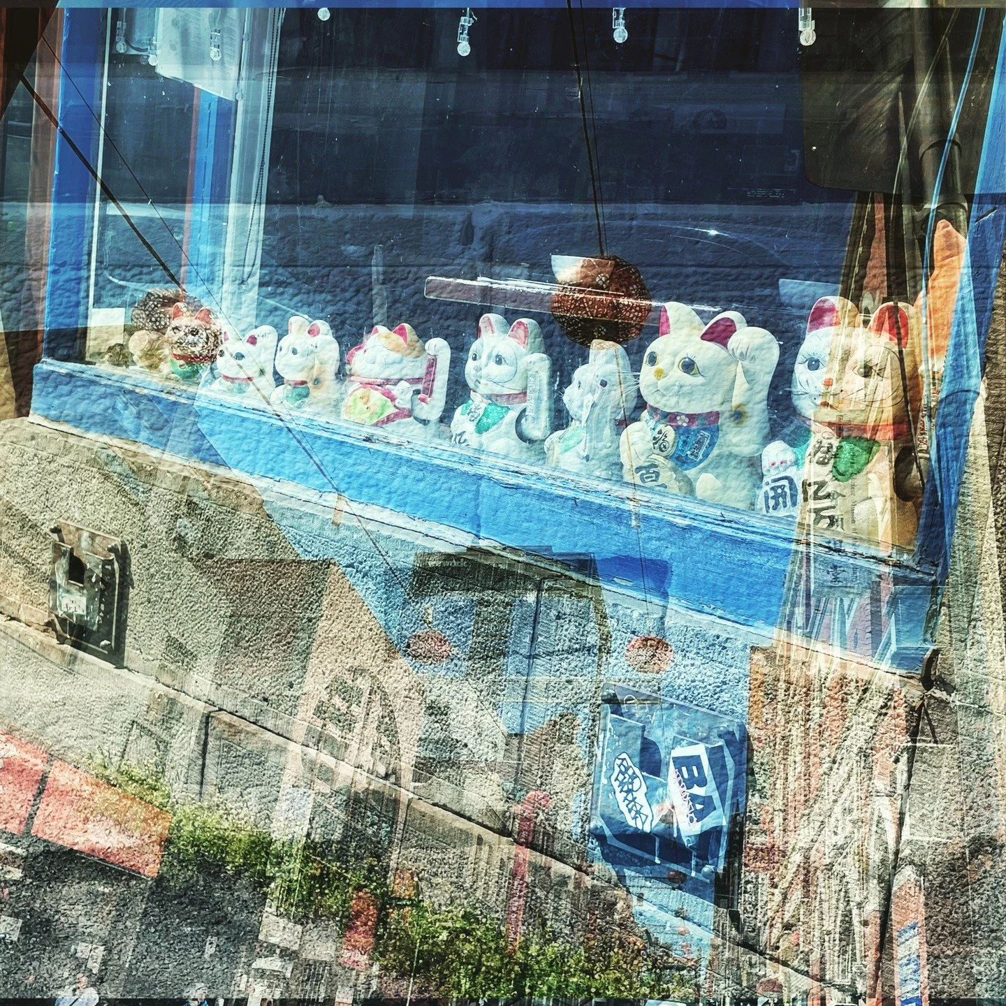 #catsinthewindow #chinacats #brunswickrd #fitzroy #melbourne #photographingwhiledrinkingcoffee #multipleimages #superimposition #threelayers #12months_12days_september_day12 #lastdayofseptember