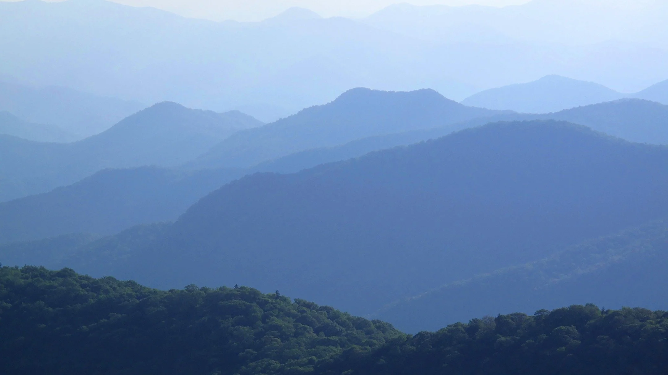 In celebration of #indigenouspeoplesday I offer this image of the #northcarolina #blueridgemountains #ancestralhome of the #cherokee people where my European ancestors settled in the 18th century. In honor of the resiliency of these people, in #Ances