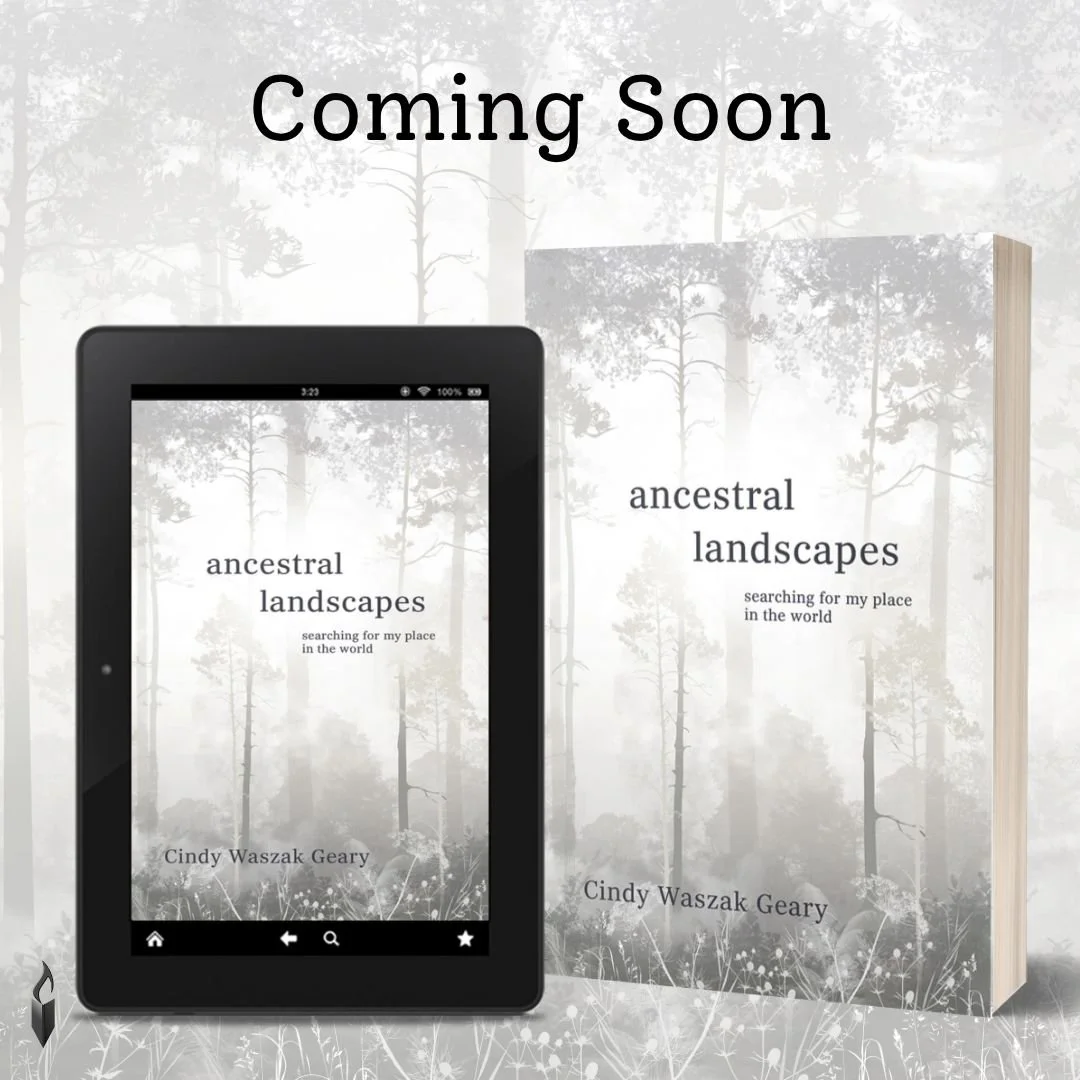 #Ancestrallandscapes will be out in ONE WEEK. I am grateful to @torchflamebooks for all the work that goes on behind the scenes to get a book out into the world. I am looking forward to conversations with readers about their questions and personal se