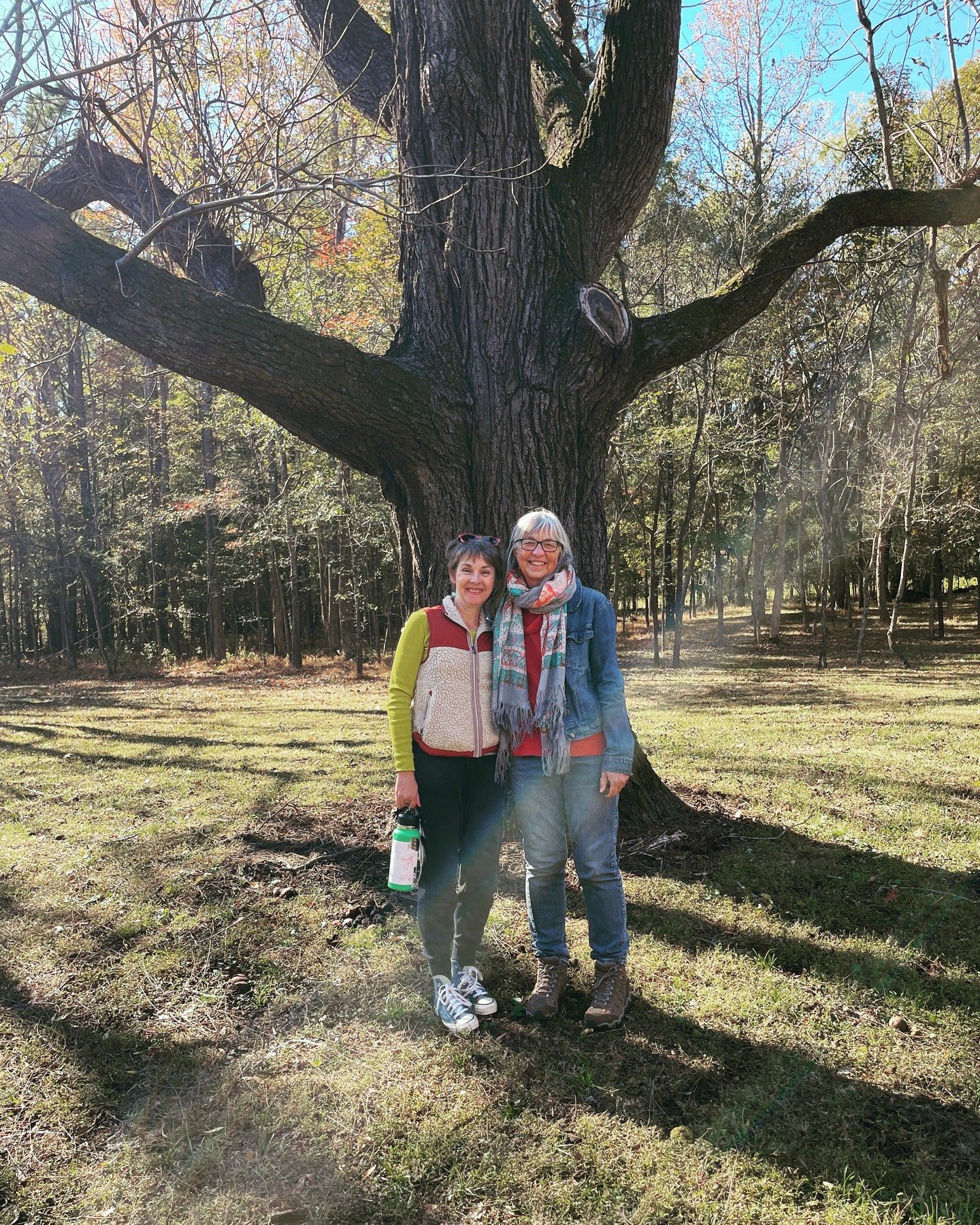 With @hilarygiovaleauthor In front of the #witnesstree, a black walnut that is the only tree still standing at @historicstagville that was there while enslaved labored on the plantation. On our guided tour we heard the names of and heard stories abou