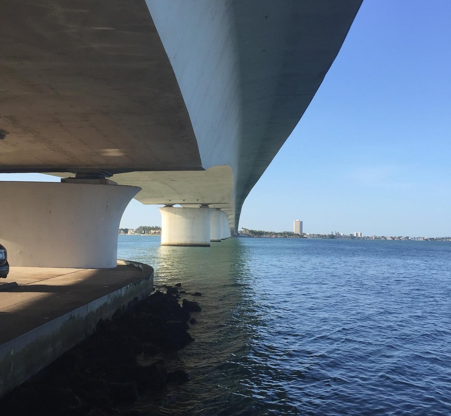 One of the essays in #AncestralLandscapes takes place in #Sarasota when I was growing up there in the &lsquo;60s and then on a visit there in 2020. A visit to the #concealedrevealed exhibit at #theringling brought up #memories and became a reckoning 