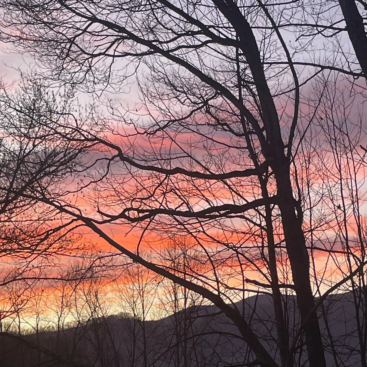 Heart-opening view as I woke up this morning&hellip;here on land where my grandparents farmed and where I spent childhood summers. Stories about this land and that mountain in the distance are told in #AncestralLandscapes. #waynesvillenc #Bethel #lit