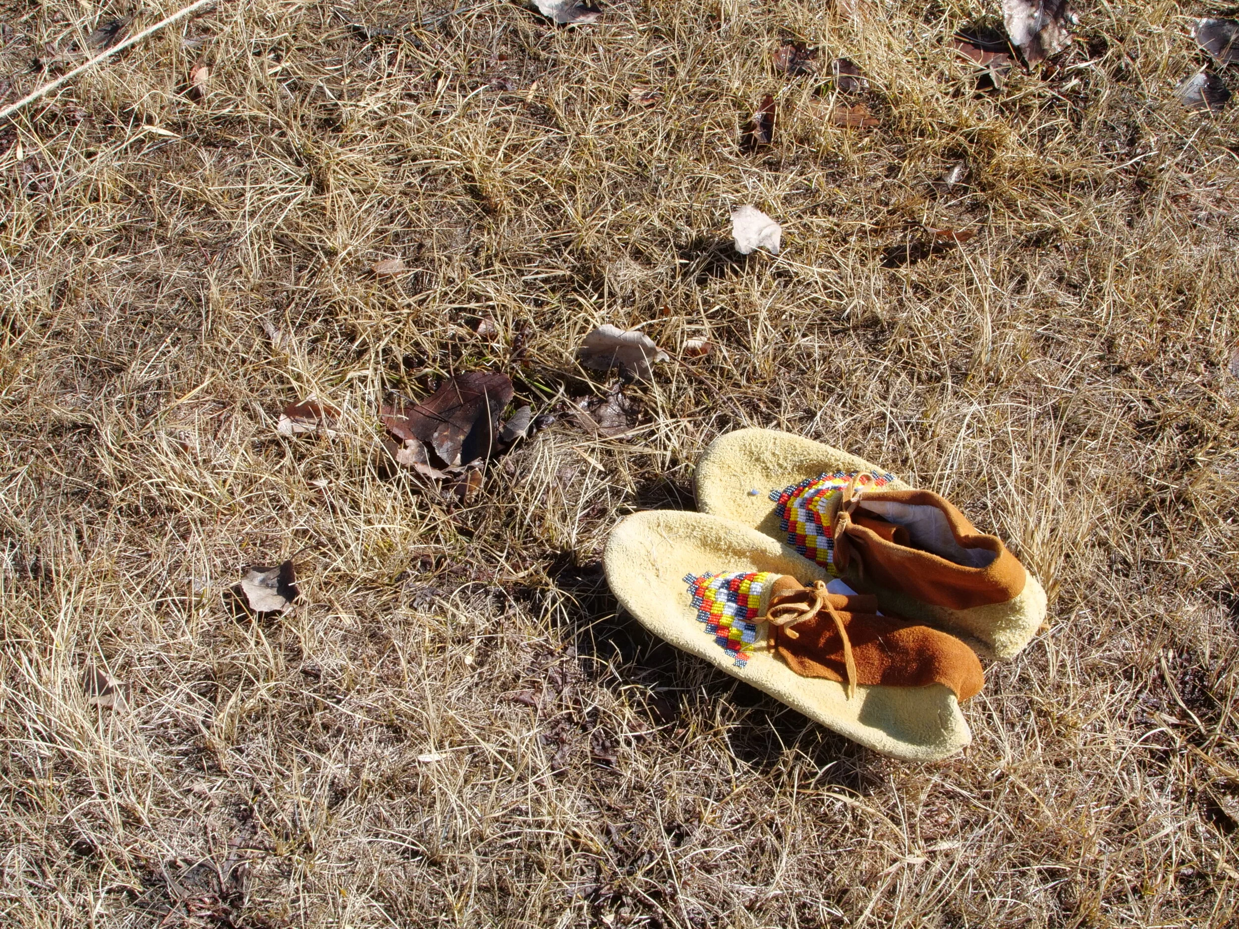 P1000598.JPG