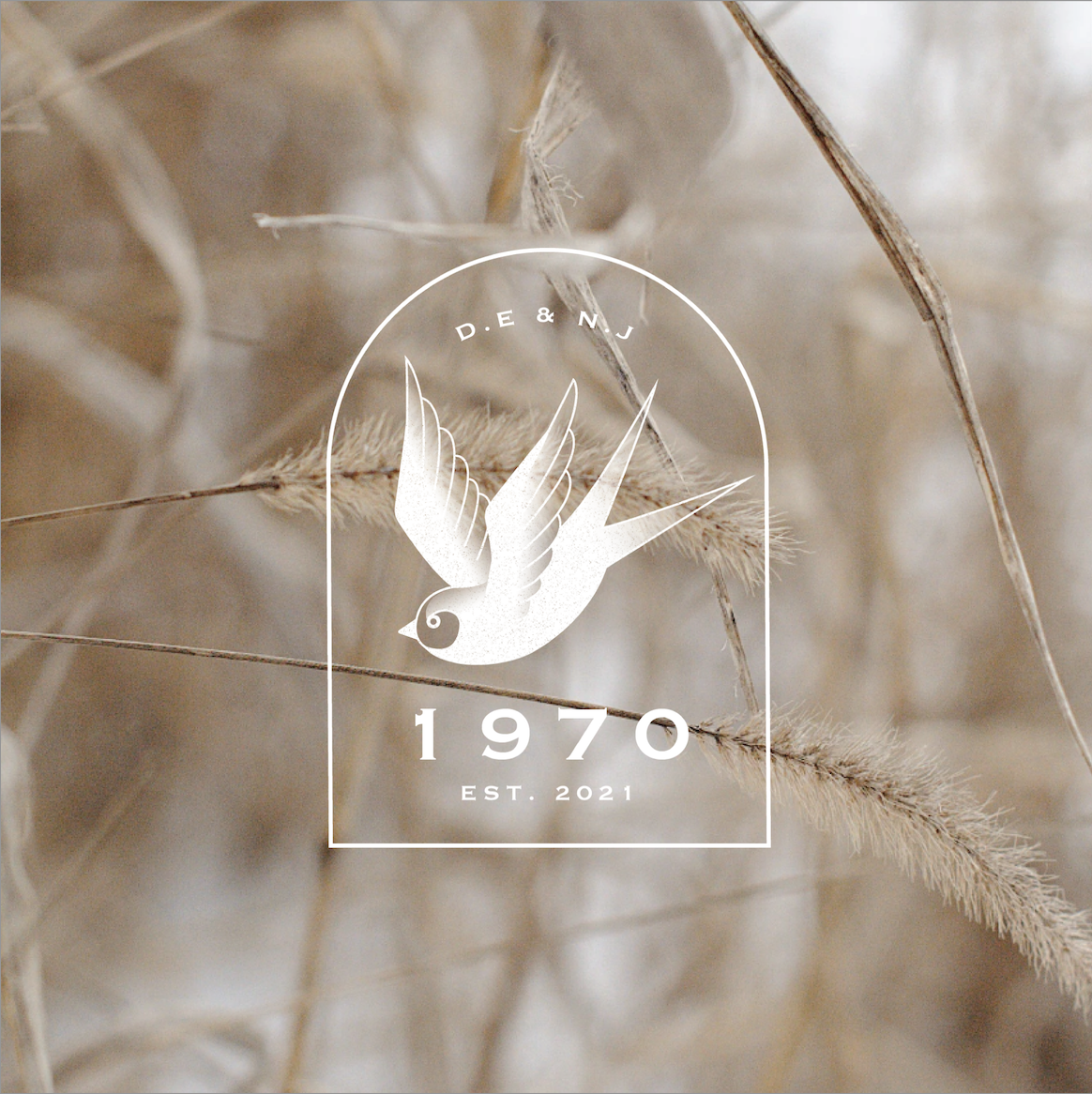 Screen Shot 2022-01-19 at 3.42.09 PM.png