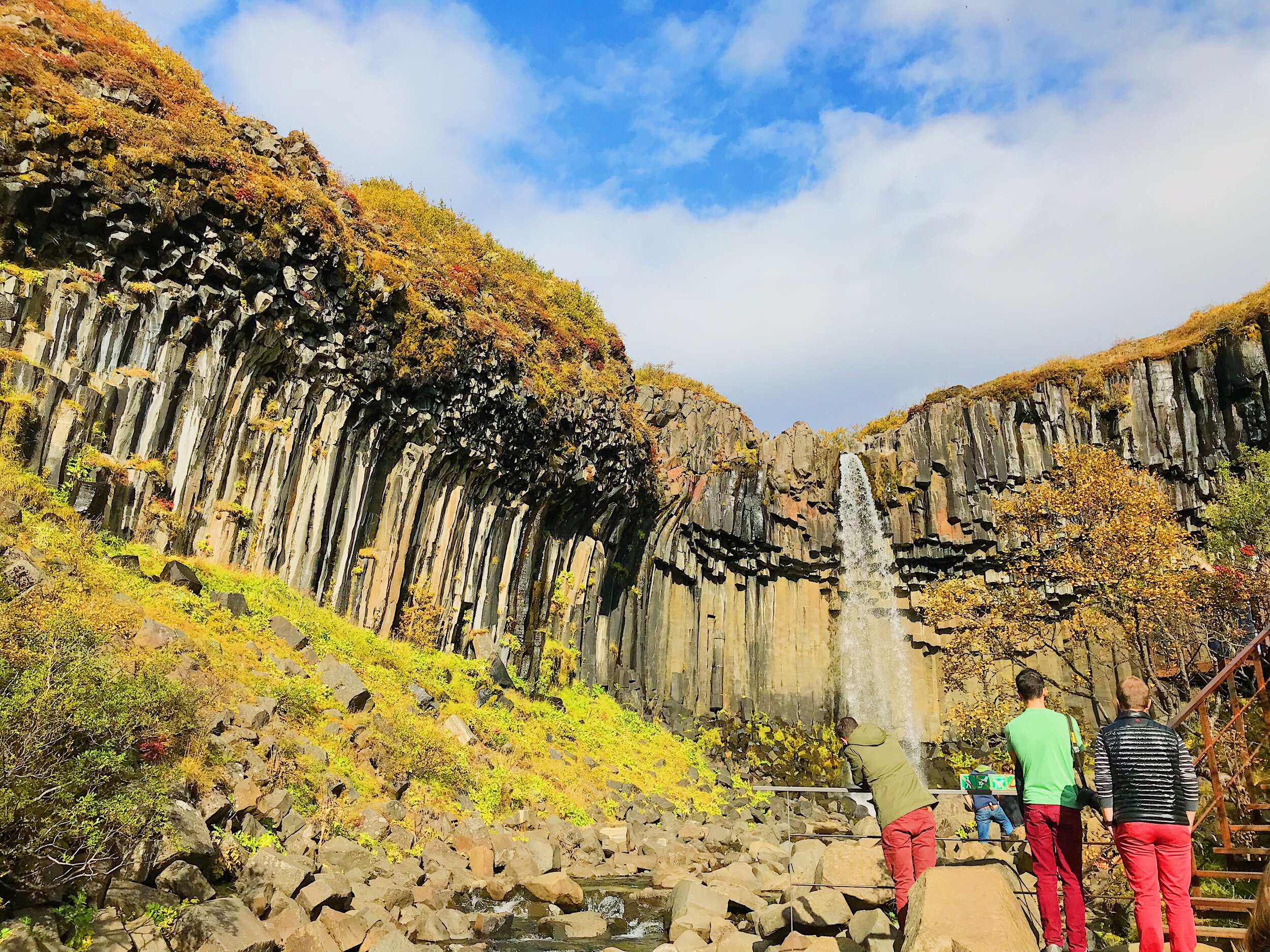 Svartifoss