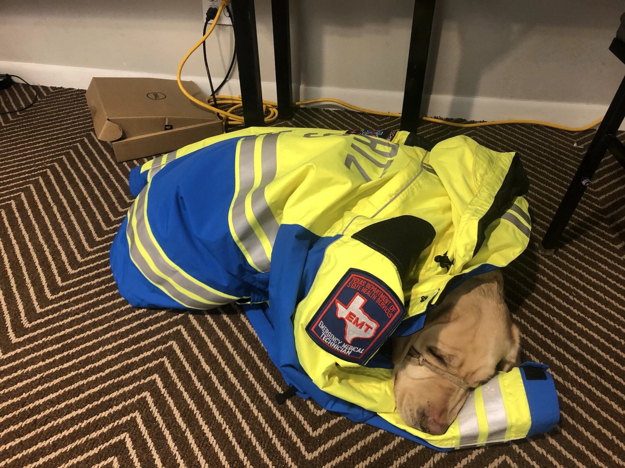 Planned Giving Service Dogs Inc Planned Giving Service Dogs Inc