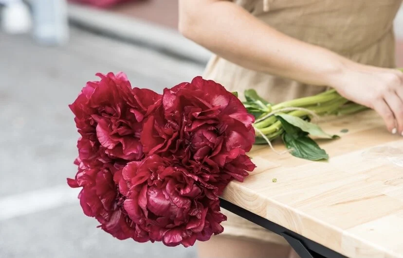 B1E0F553-9B13-4CBE-8EE9-2A5A39D36273