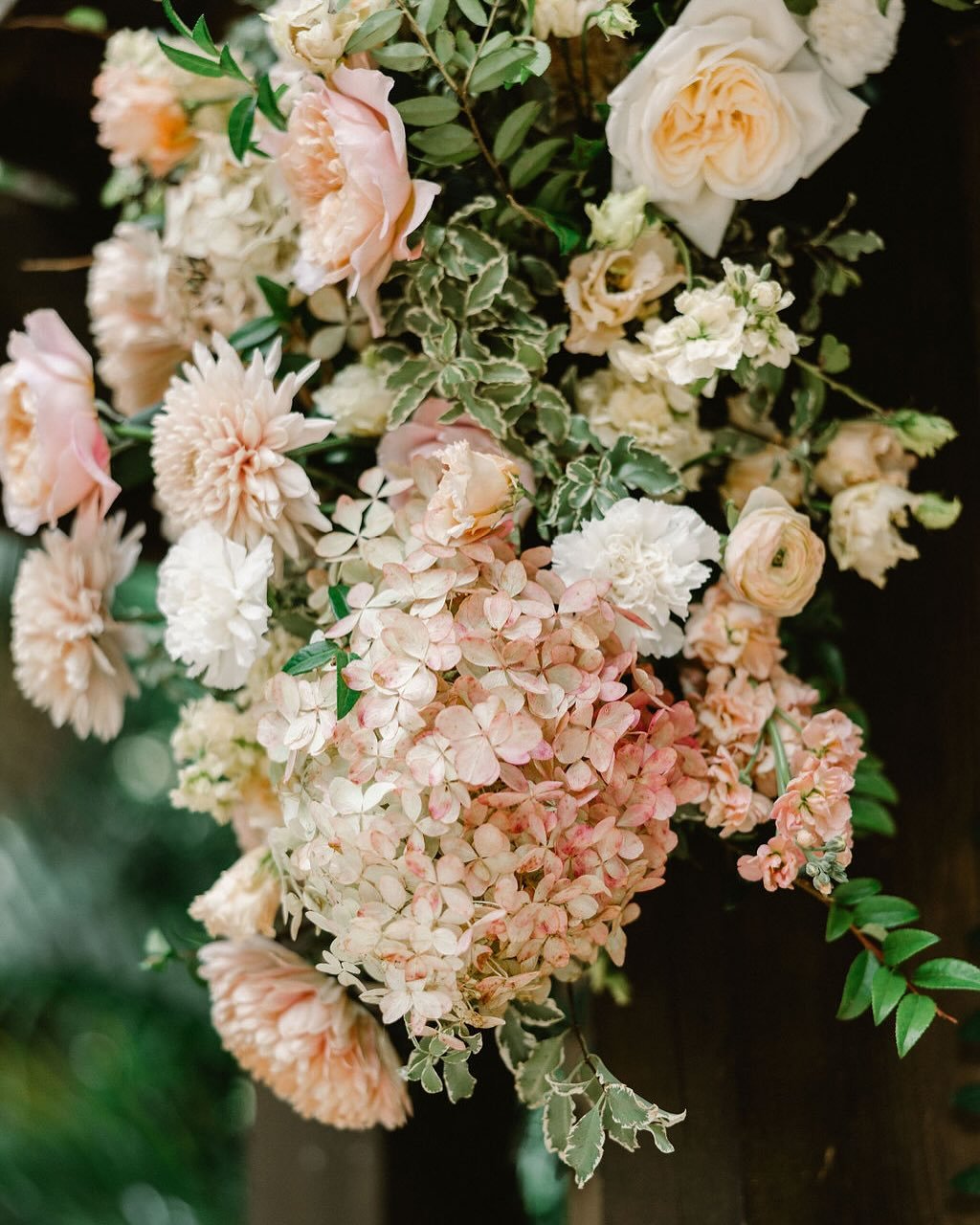 I&rsquo;ve been thinking about these colors since K + A&rsquo;s day. Those hydrangeas will have my heart forever. 💓

Photos by the lovely @leslietresher followed up by a couple iPhone videos from the day of.

Coordinator | @magnolia_blossom_weddings