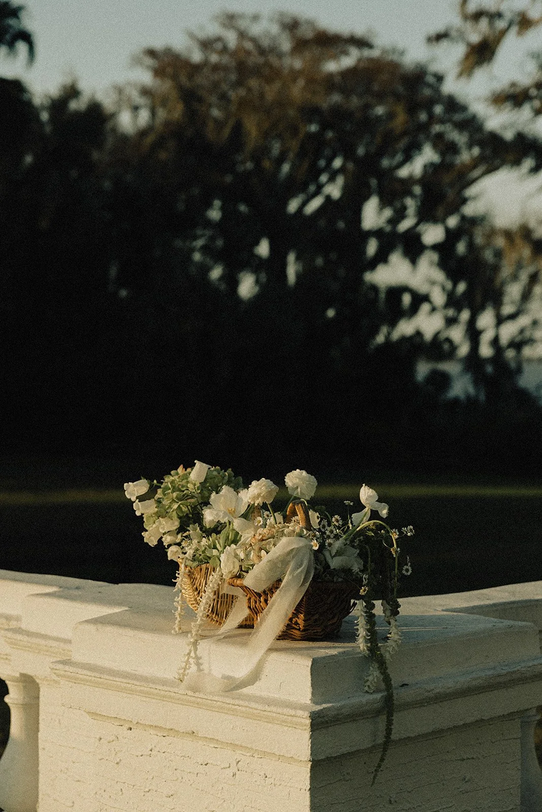 Photography | @Danielledalynphoto