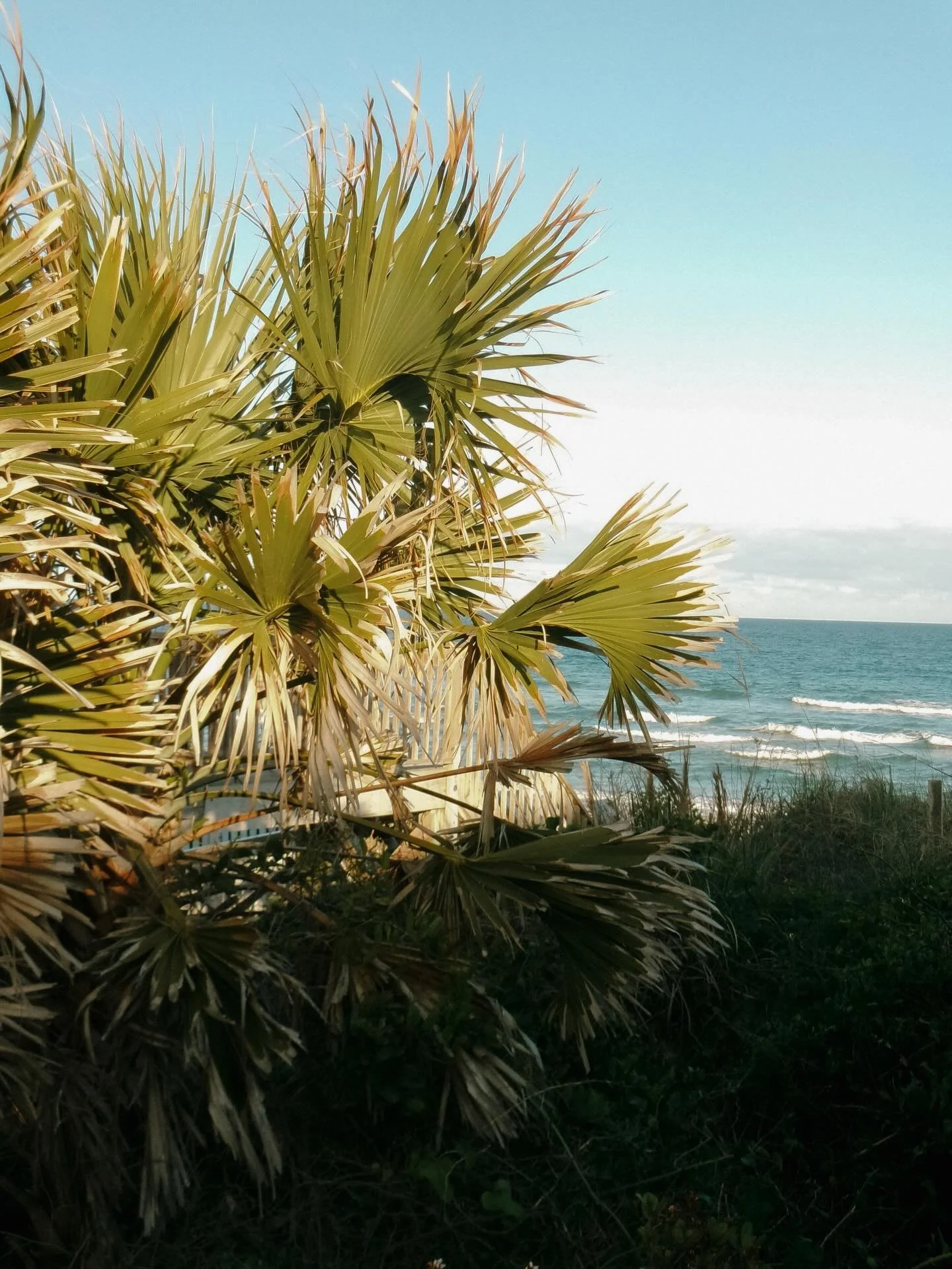 first summer on the coast 🌊 
&mdash;
surf city photographer | wilmington photographer