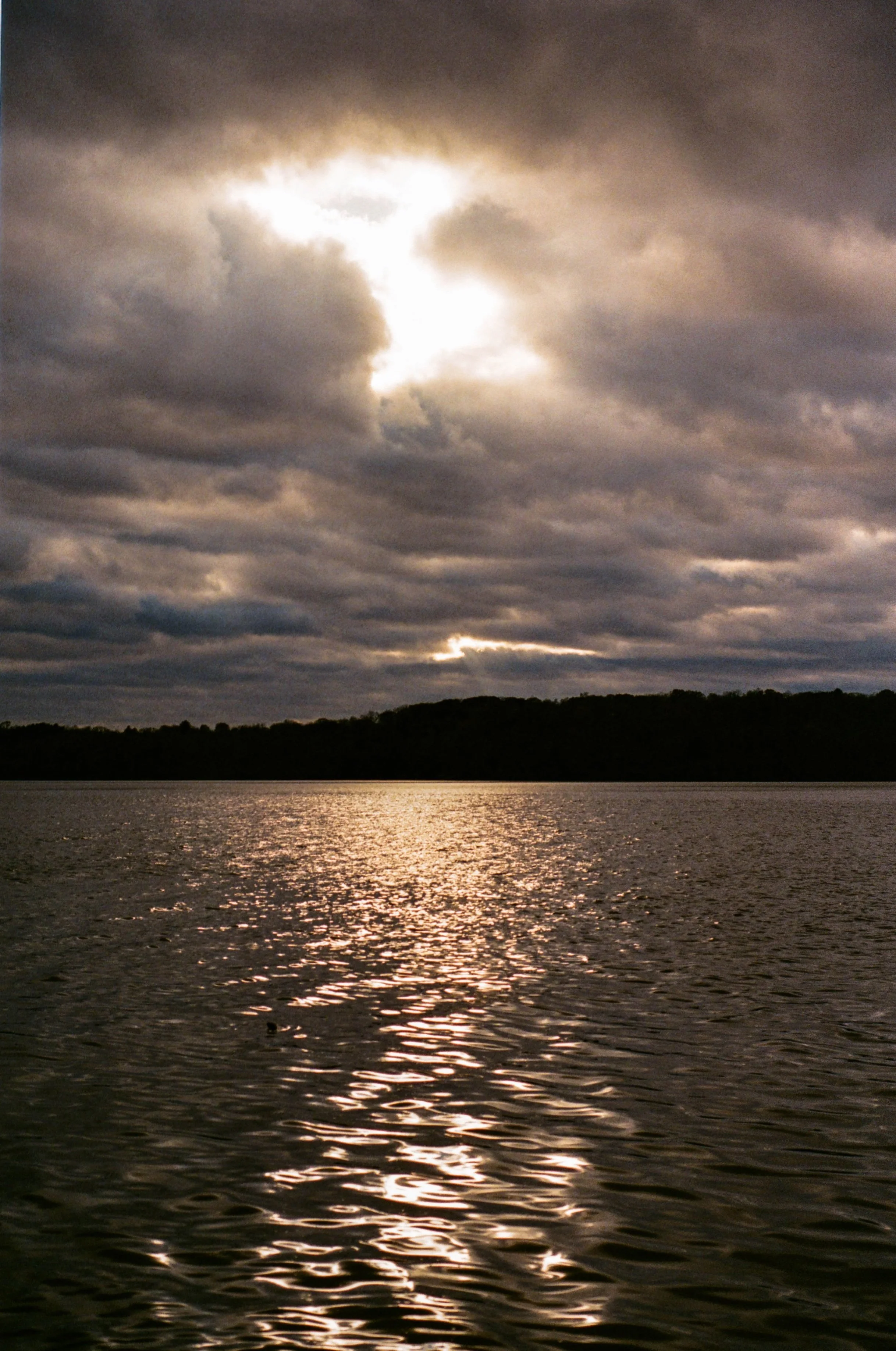 0010_10A.jpg