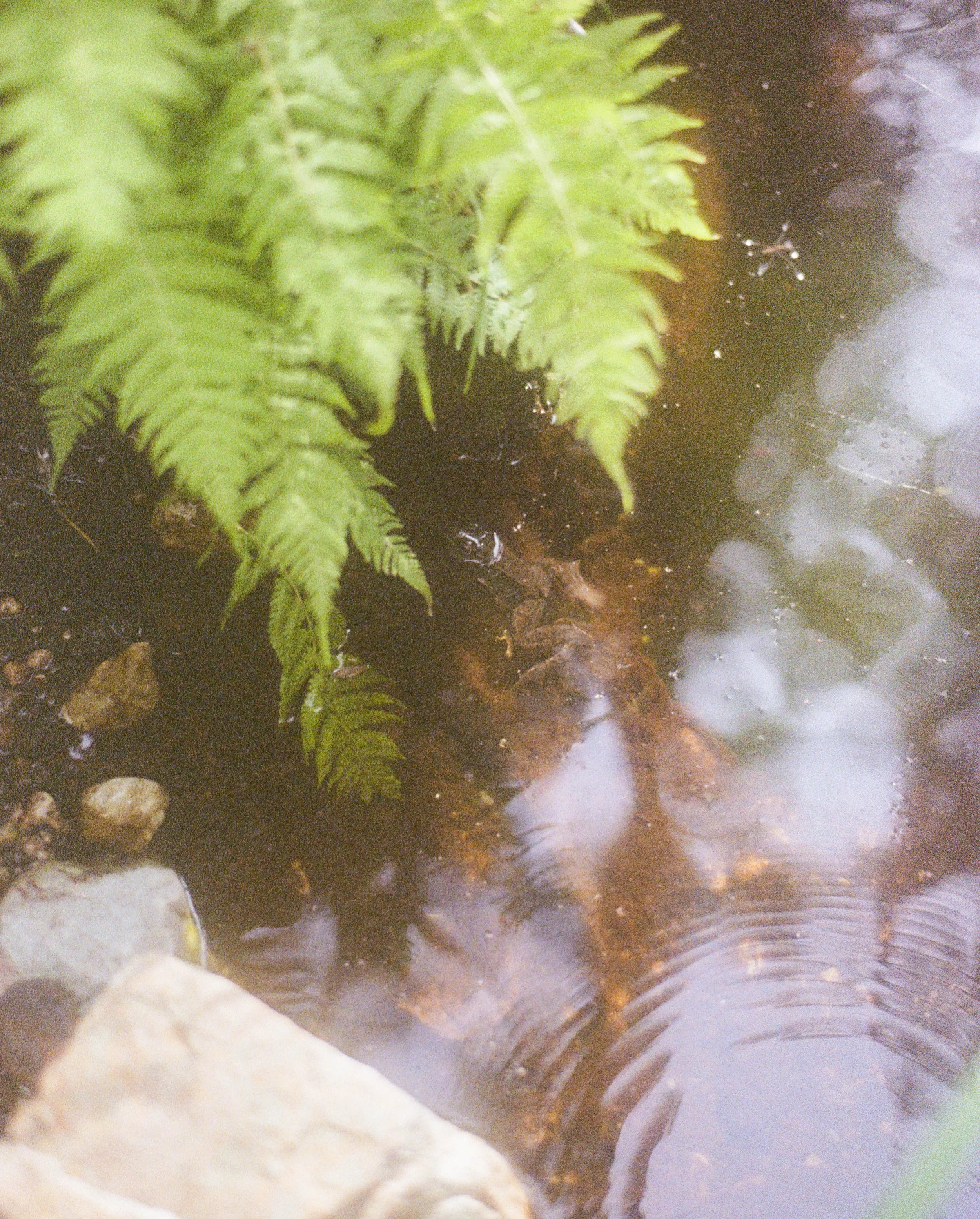 0015_15A.jpg