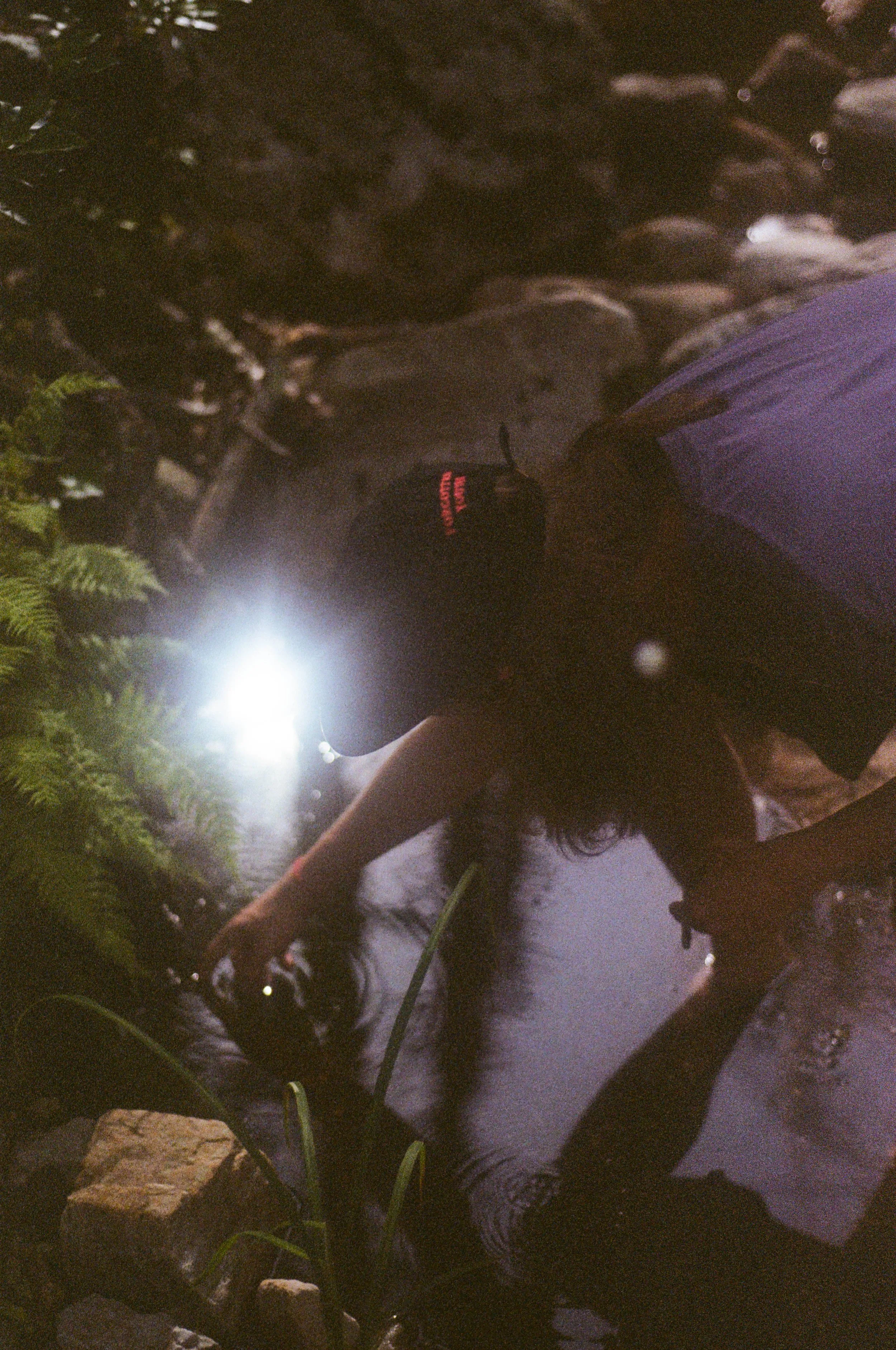 0022_22A.jpg