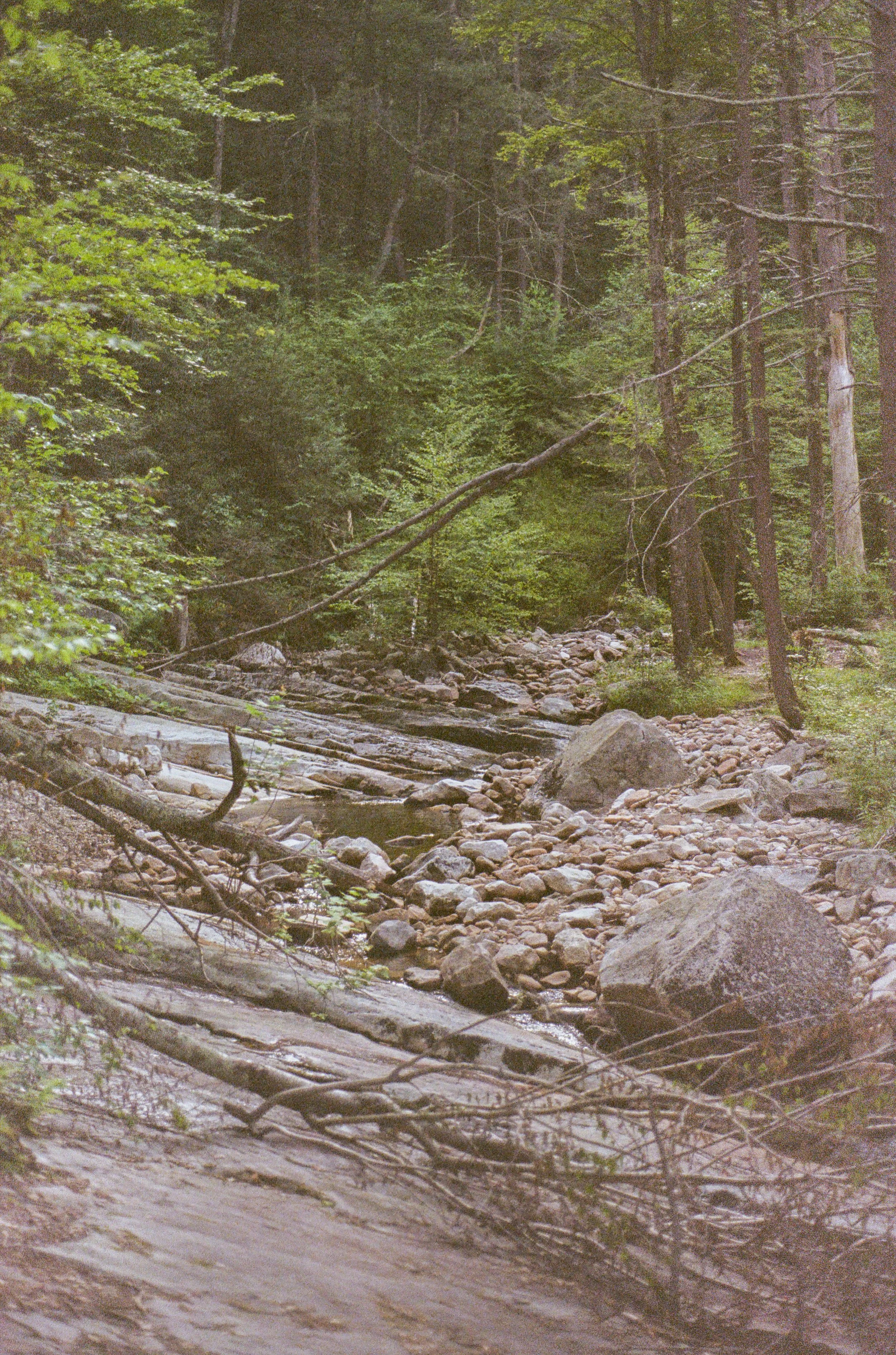 0014_13A-2.jpg