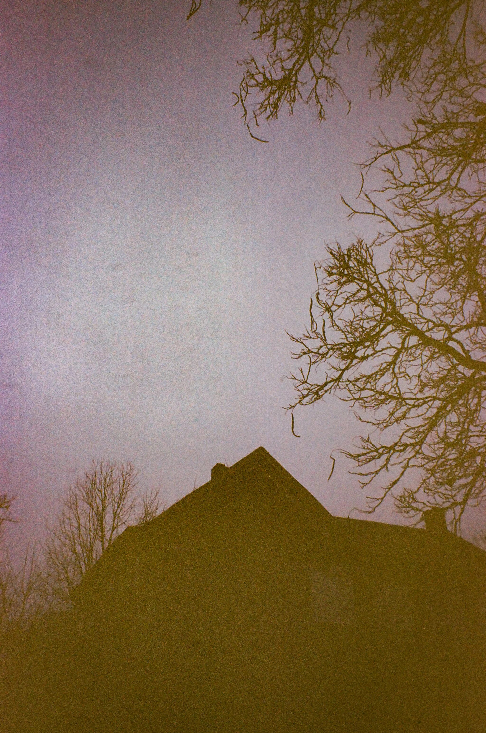0010_###-2.jpg