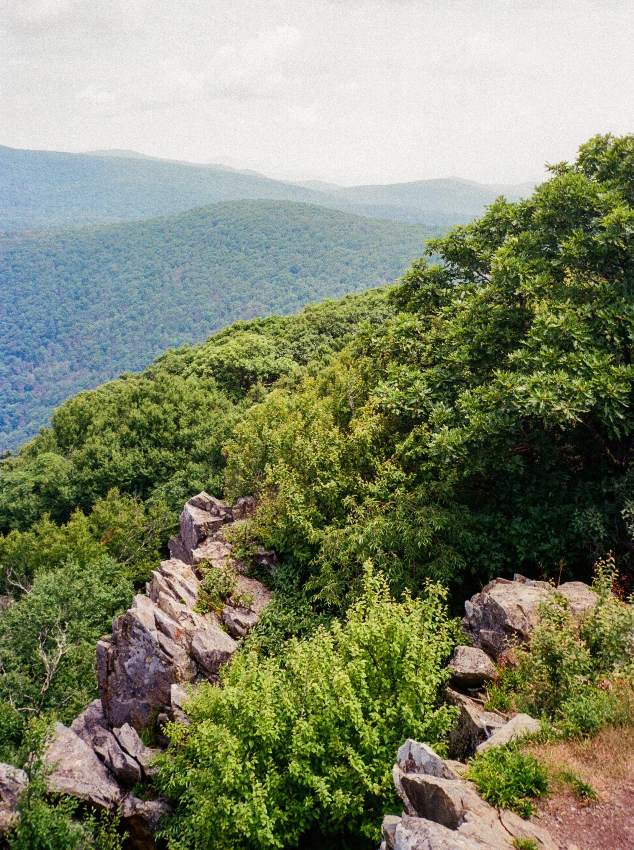 Shenandoah National Park, Virginia