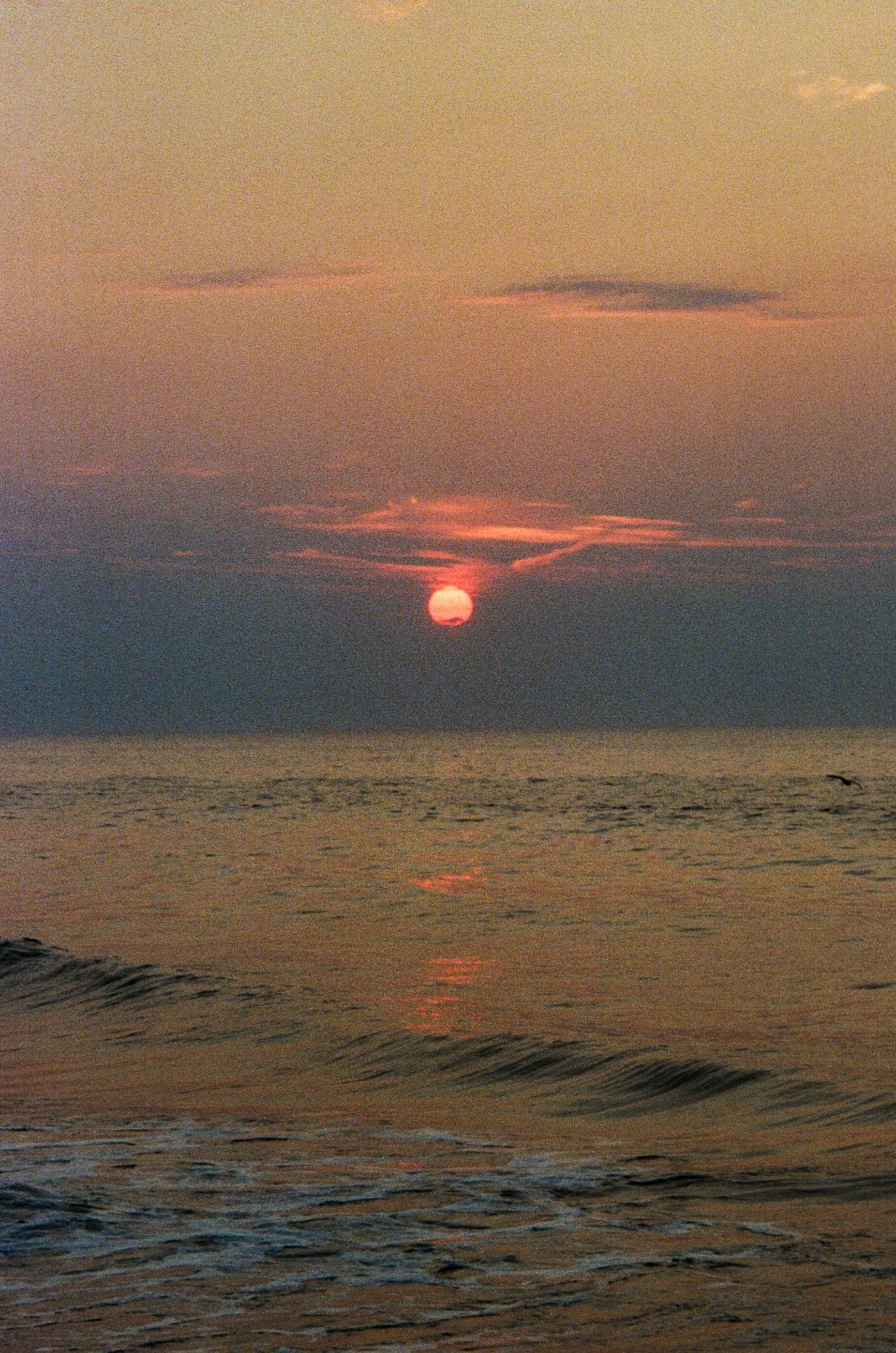 0035_6.jpg