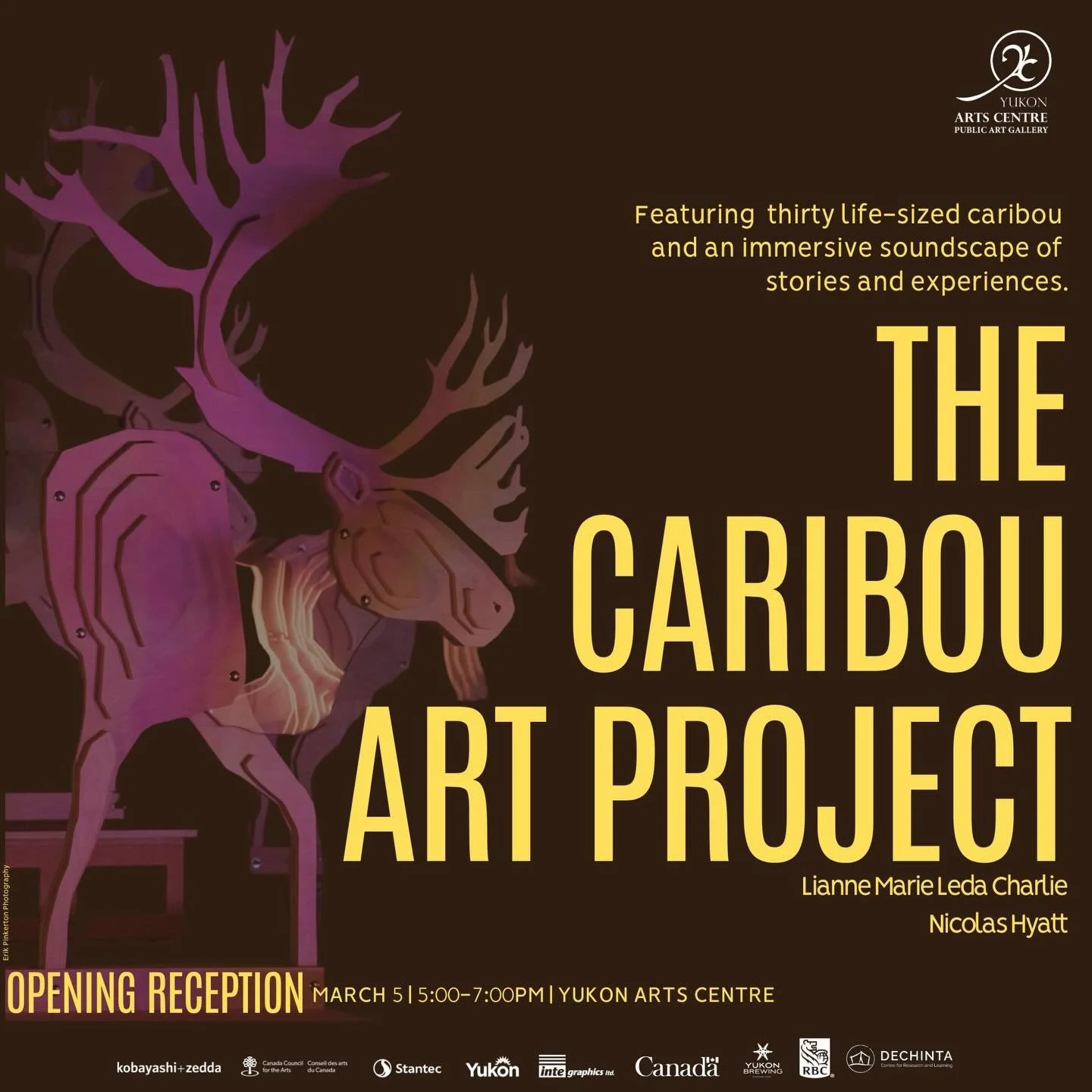 Walk with us and help bring the herd to life 🫶🏽