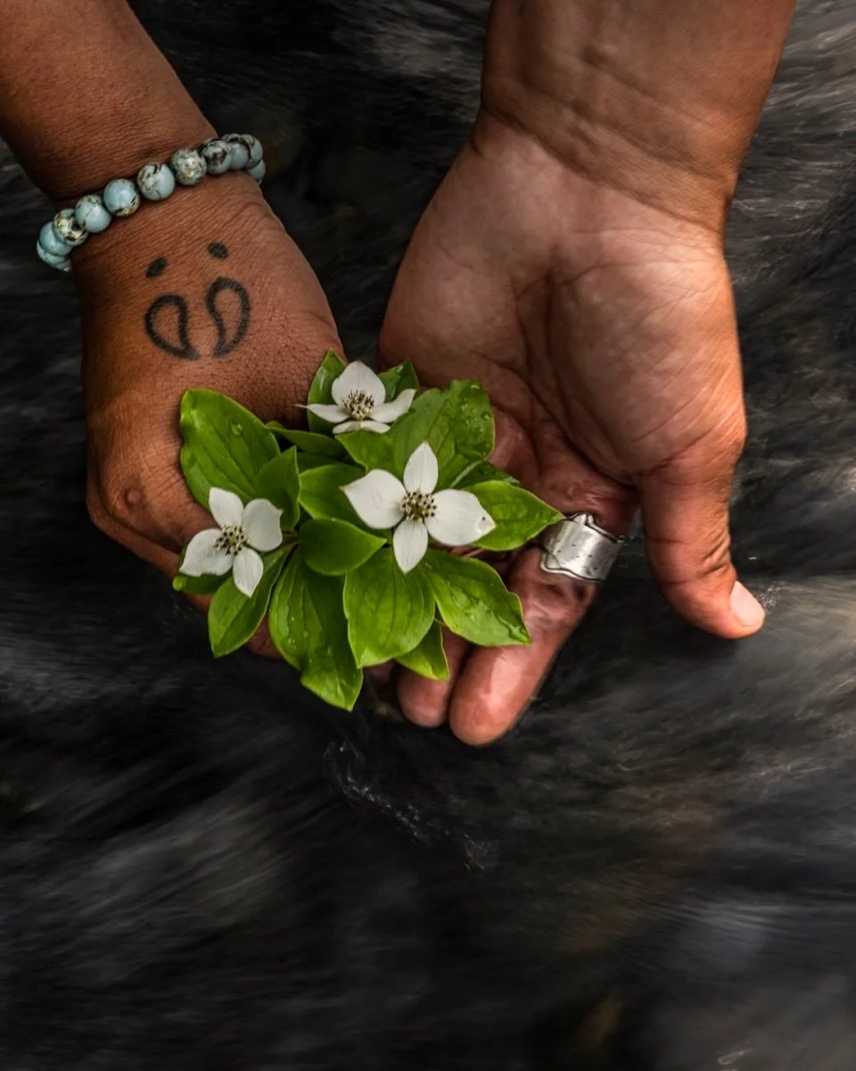 Being surround by these flowers made me feel so beautiful n loved.  @amivitale photography