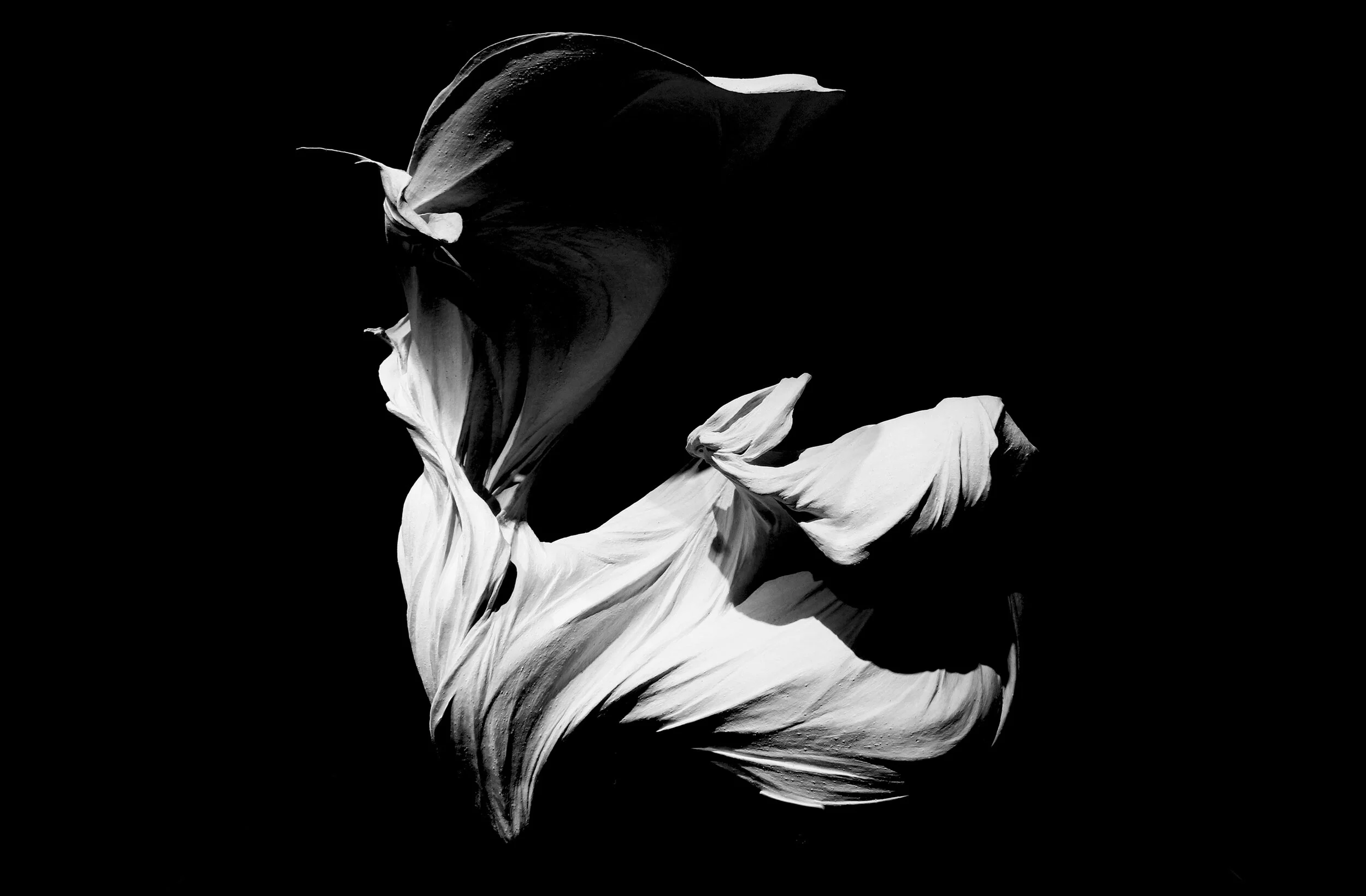 Sculpture smaller.jpg