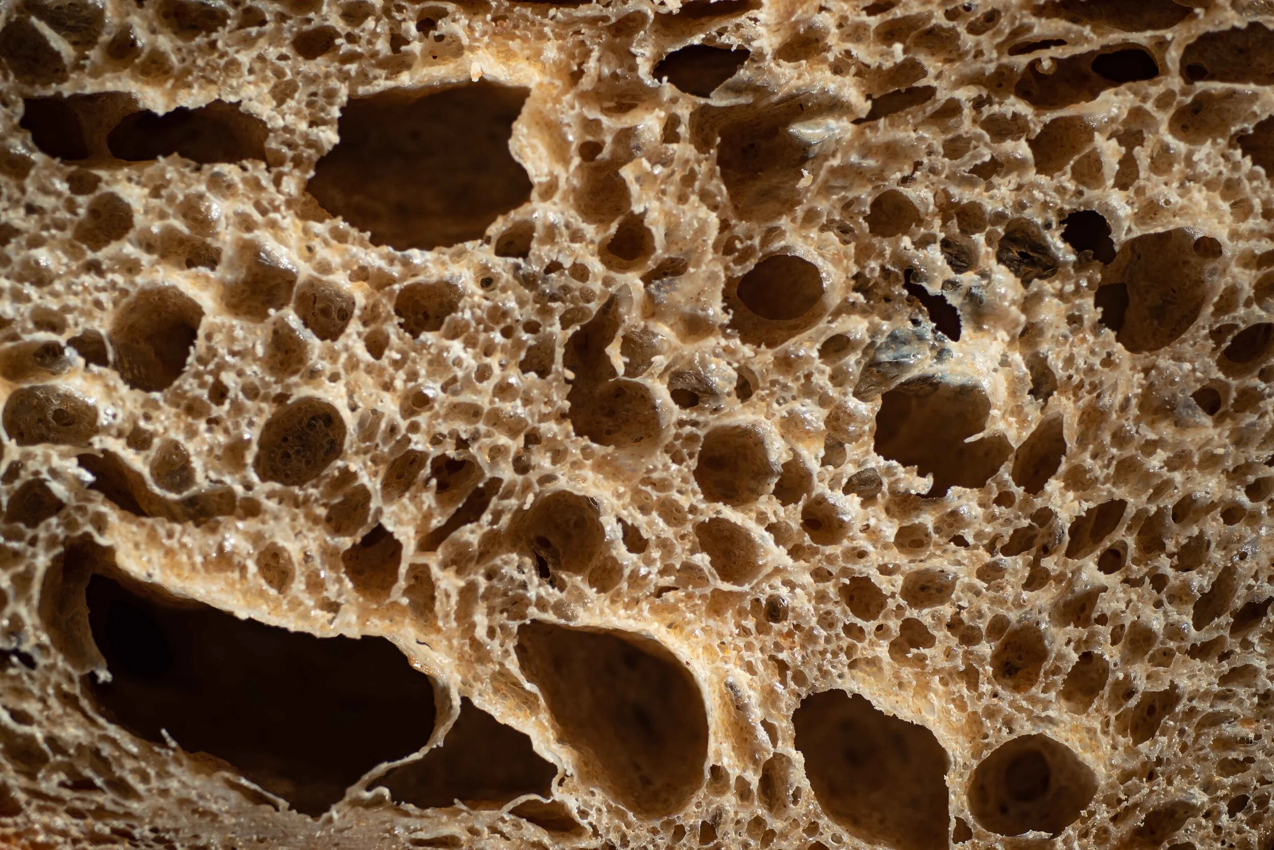 freedom-maine-bread.jpg