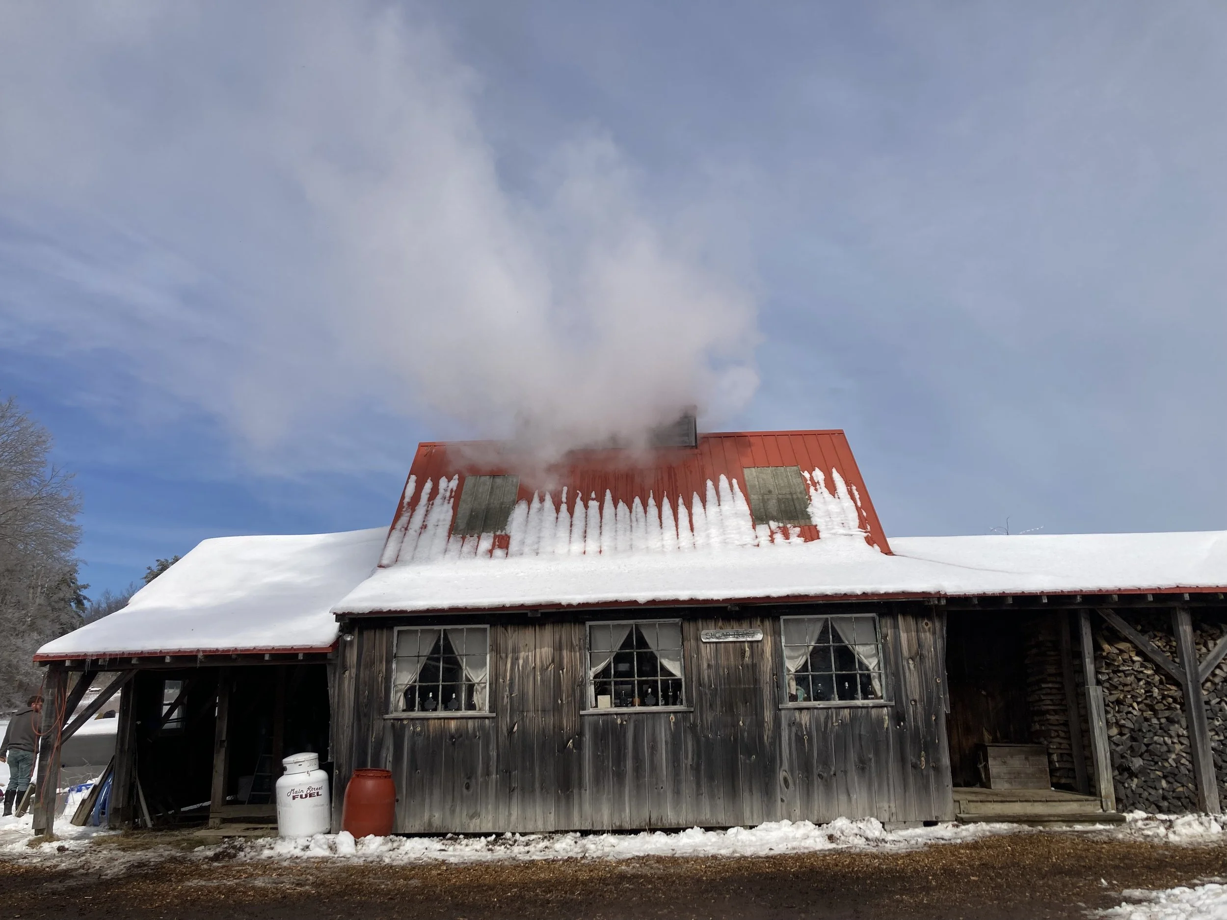 Maine Maple Sunday!