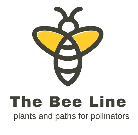 Bee Line 2 transparent background.jpg