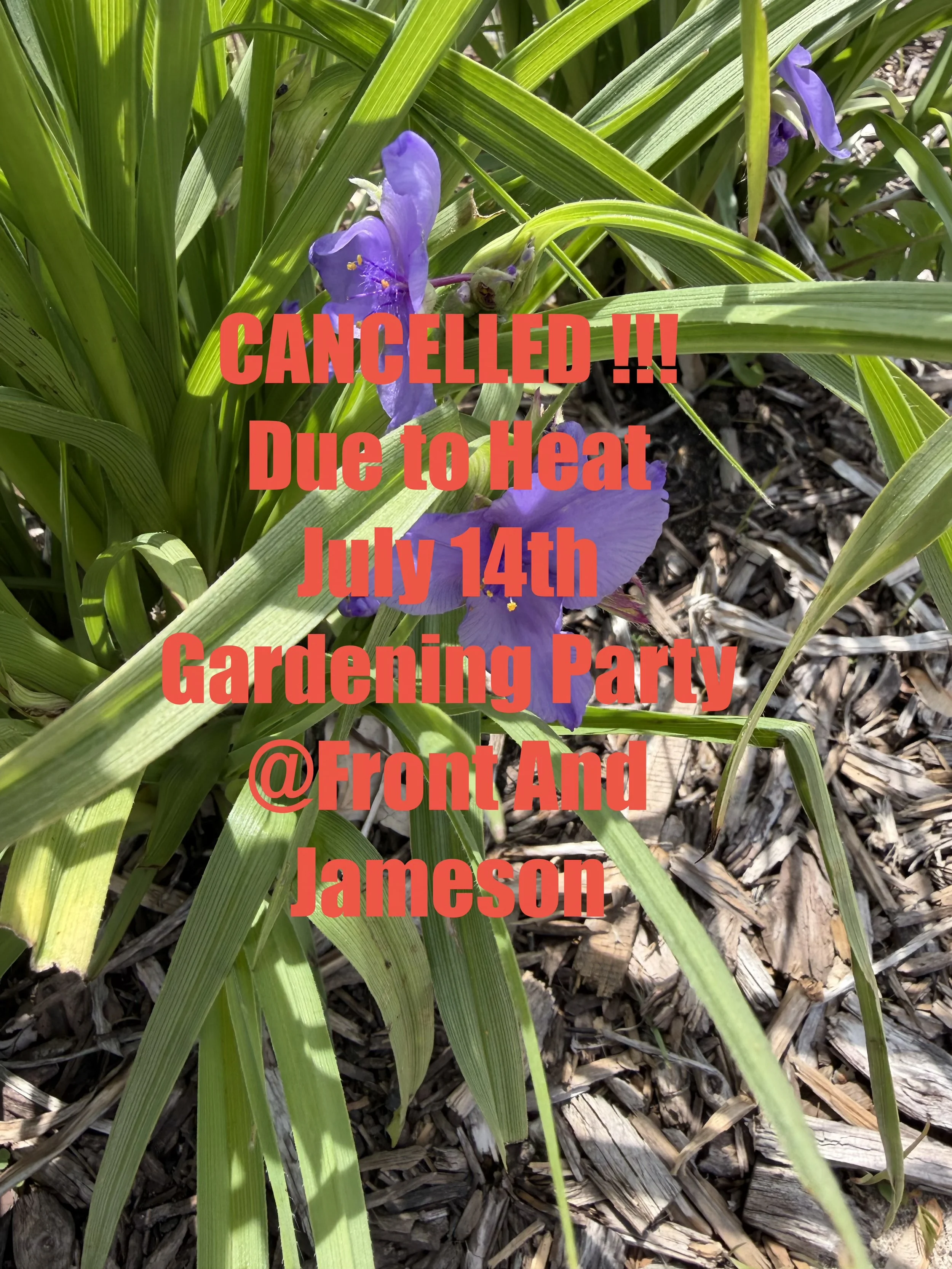 Gardening Party at Front and Jameson Pollinator Garden-Cancelled due to Heat