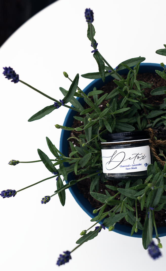 Screenshot 2023-10-27 at 5.36.42 PM.png