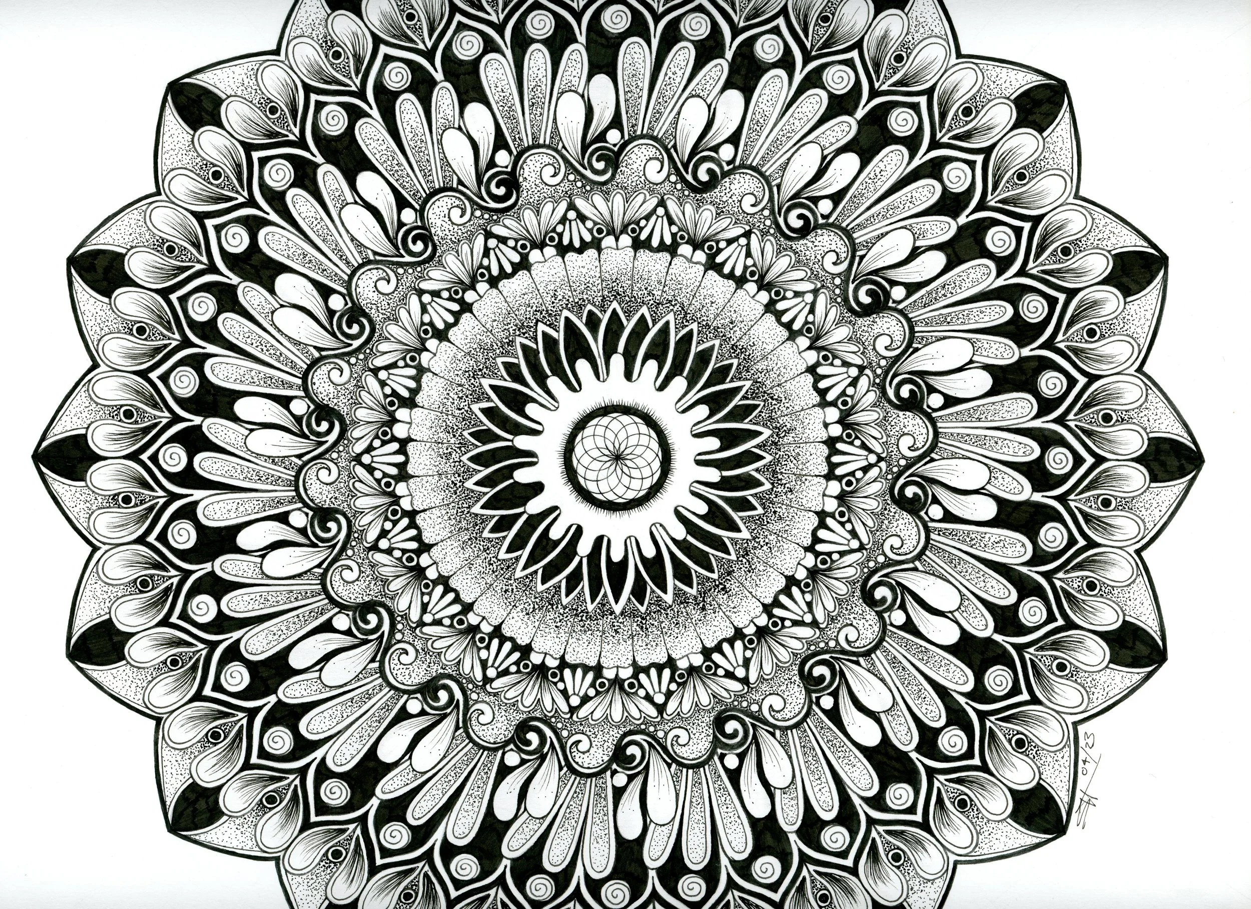 Torus Mandala2
Mixed Media Paper, Pen&Ink |
9x12in | $144