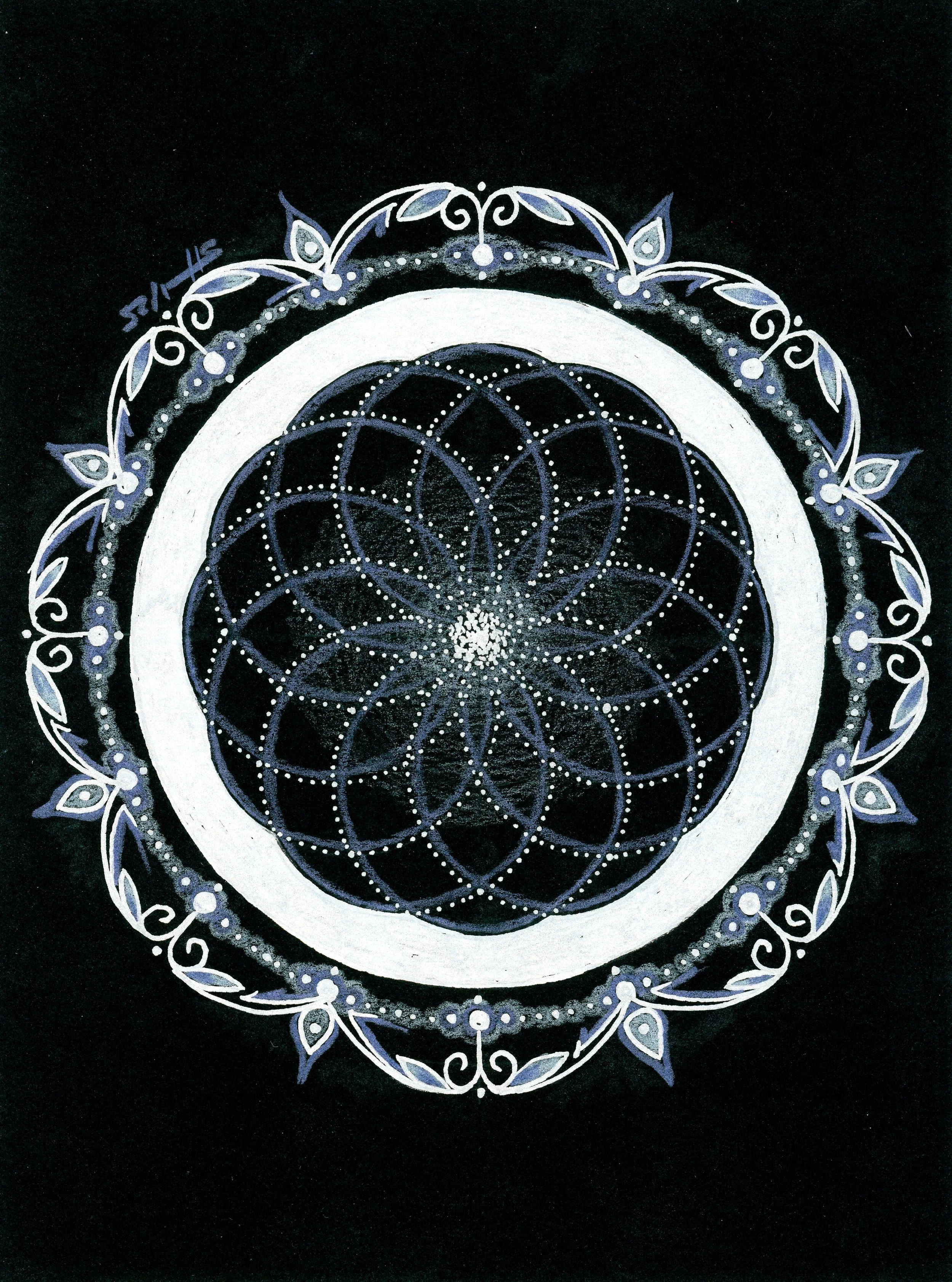 Nightshade Torus
Black Mixed Media Paper, Acrylic Pen, Coloured Pencil |
6x8in | $60