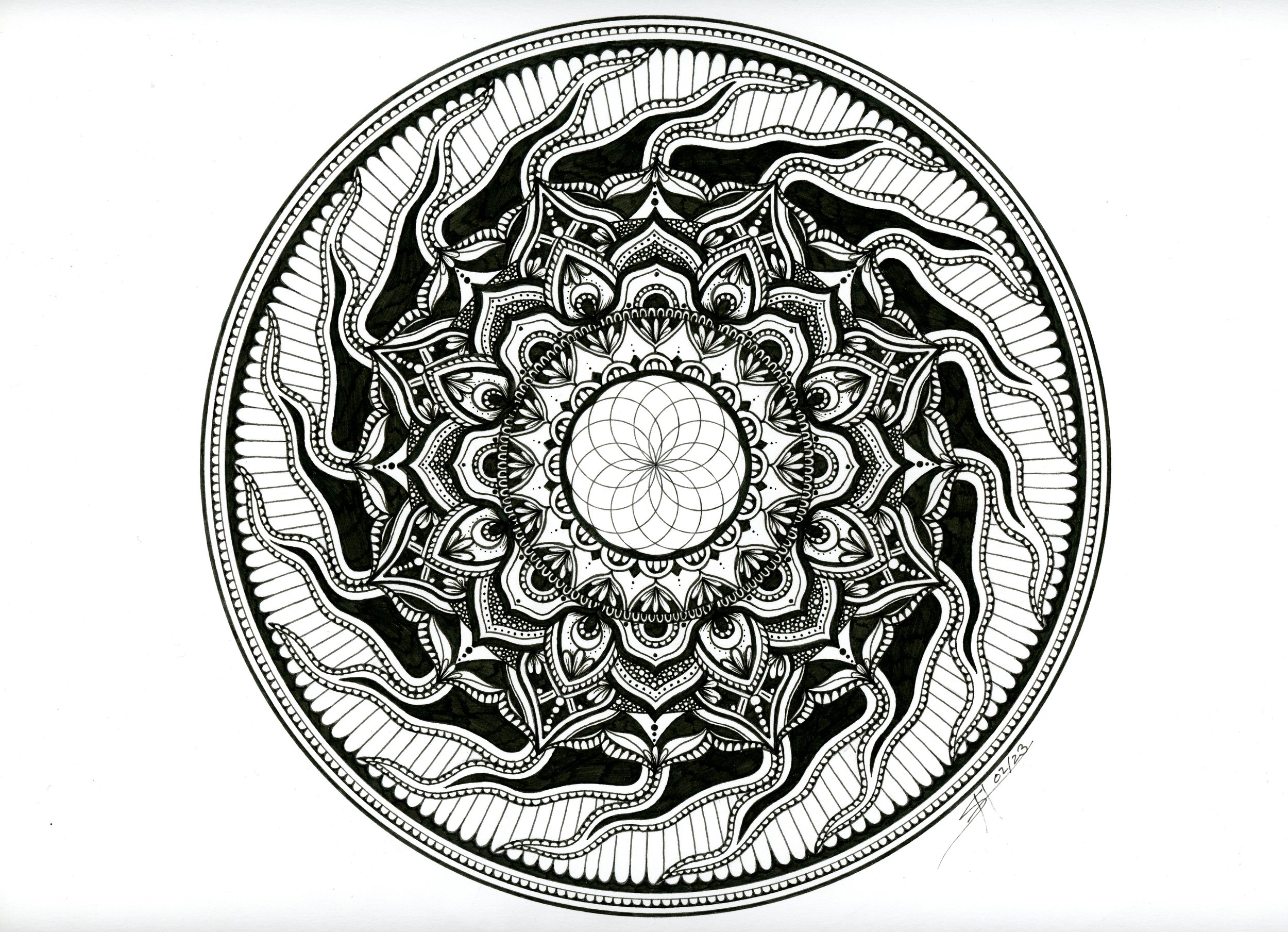 Torus Mandala1
Mixed Media Paper, Pen&Ink |
9x12in | $172