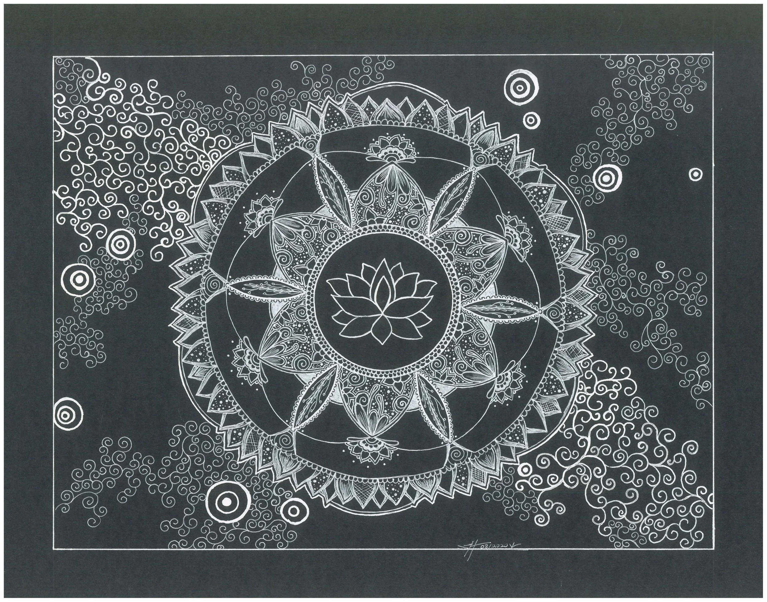 Lotus Nova
Mixed Media Black, Gel Pen
11x14 | $145
