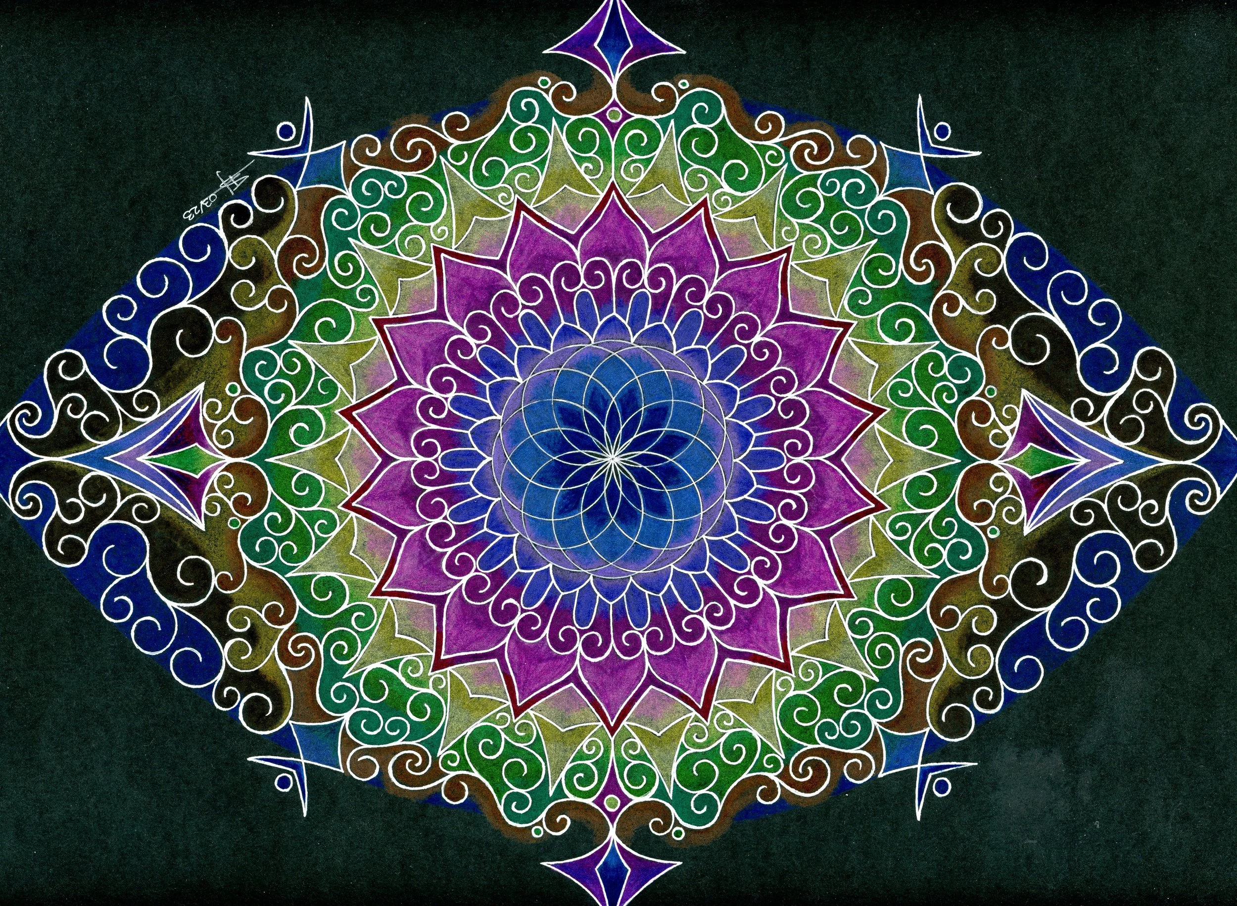 Eye Torus 
Black Mixed Media Bristol, Gel Pen, Coloured Pencil | 
9x12in | $125