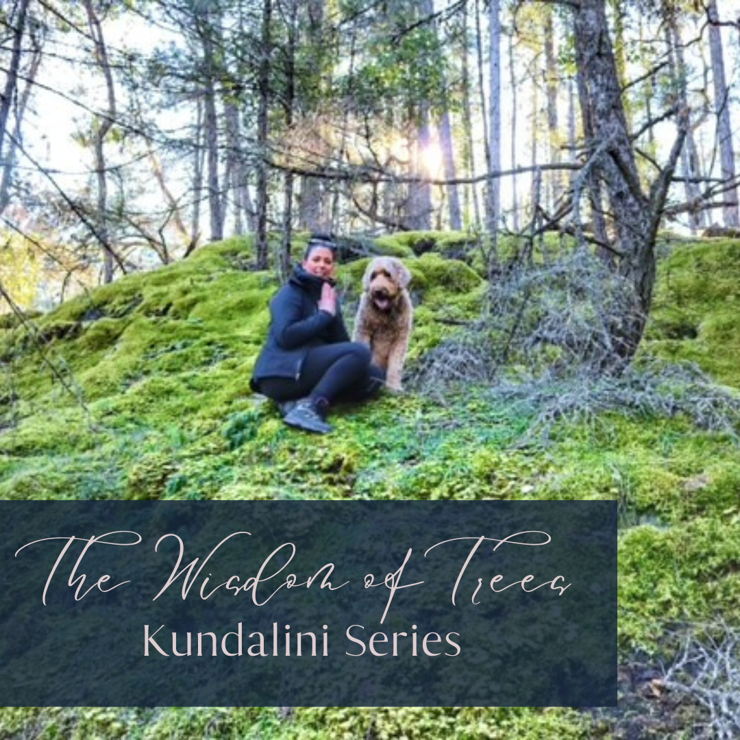 Kailee - Content .png